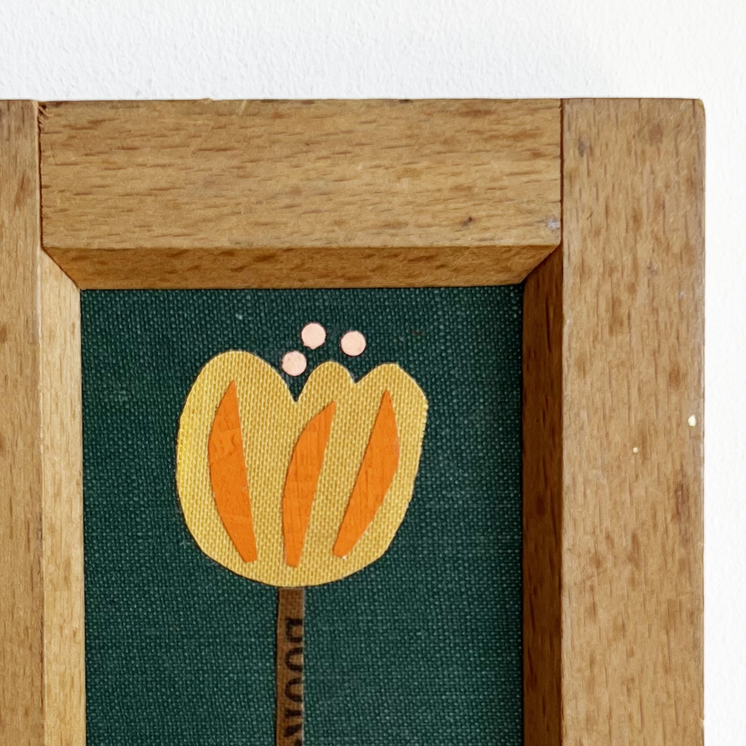 Orange Tulip d.jpg