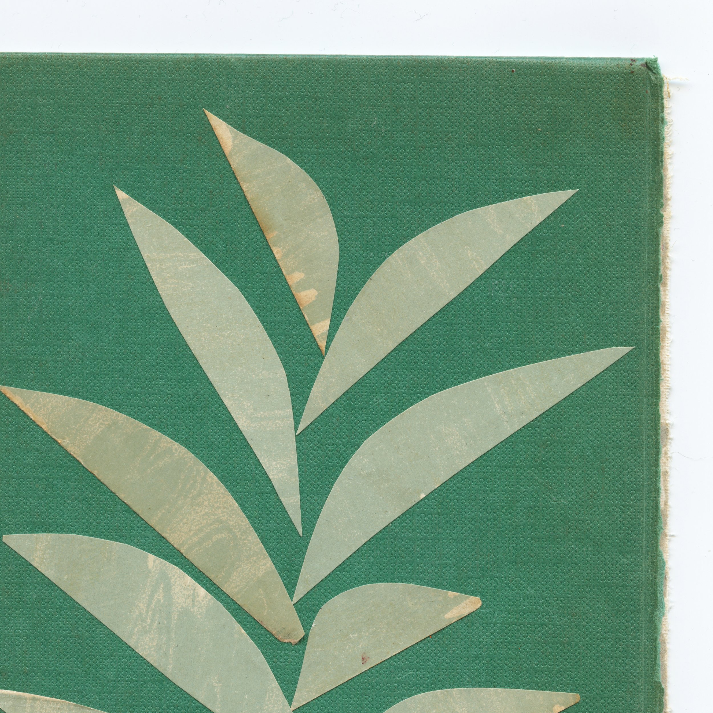 Houseplant IV c.jpg