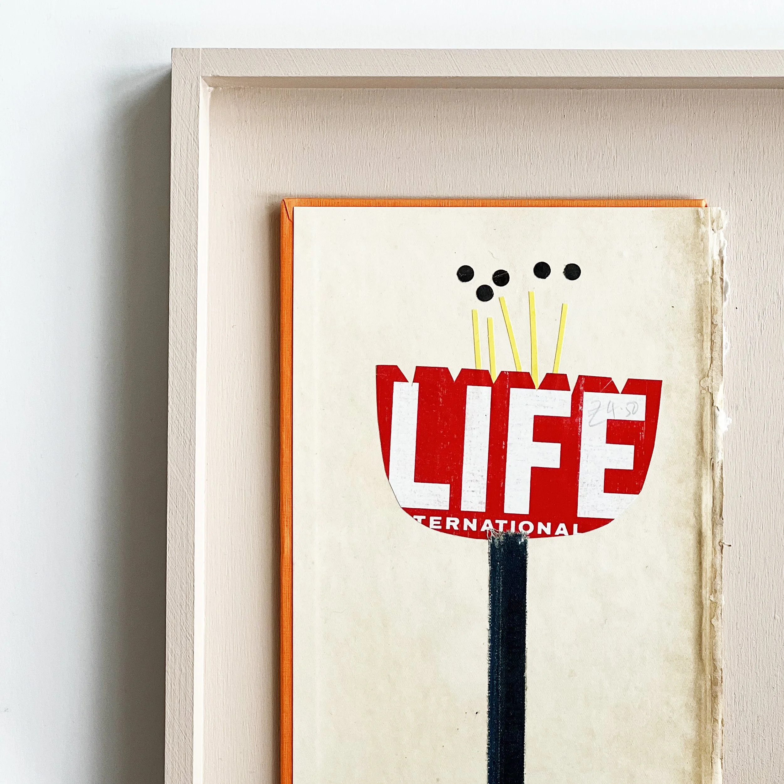 The Life of a Flower b.jpg