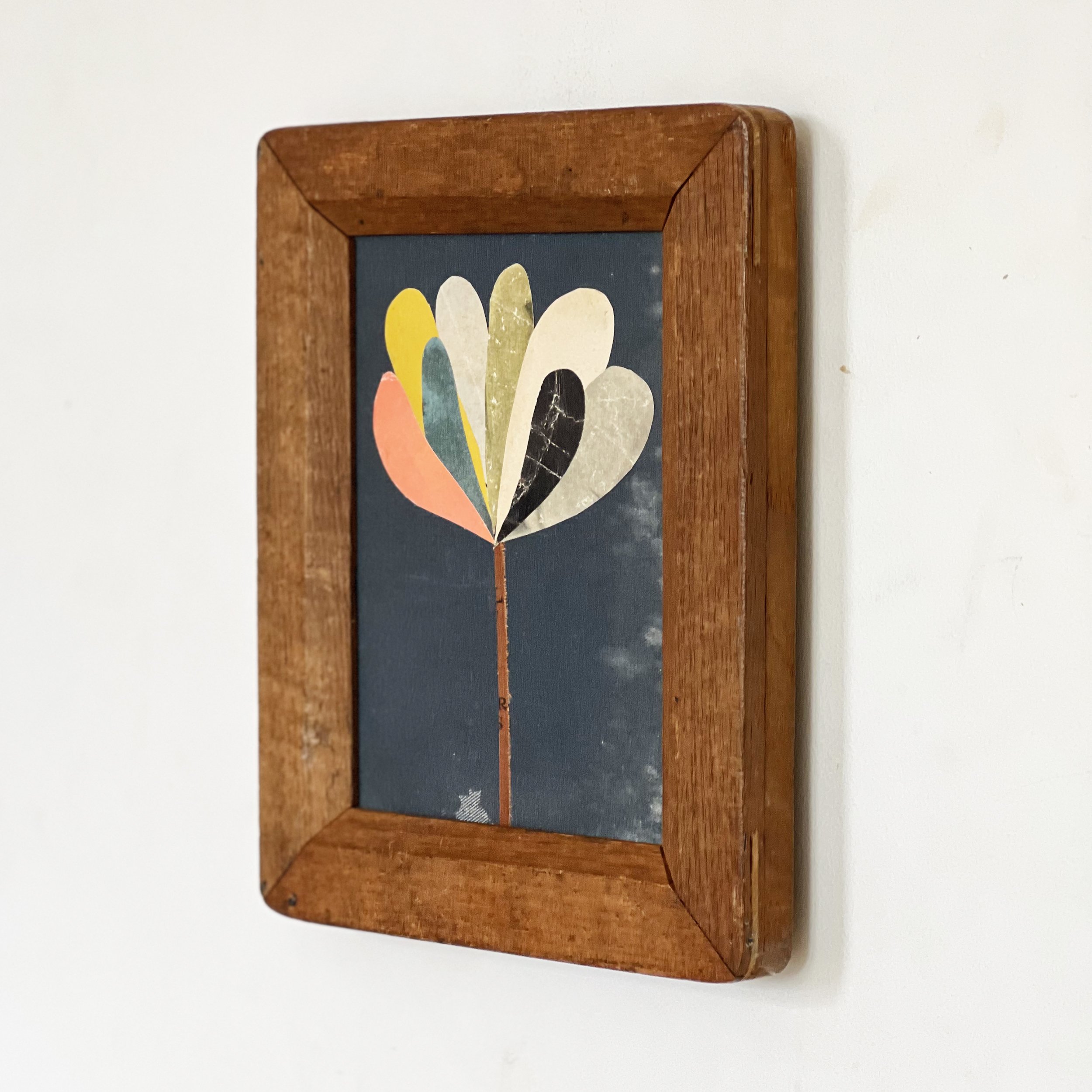 Night Flower b.jpg