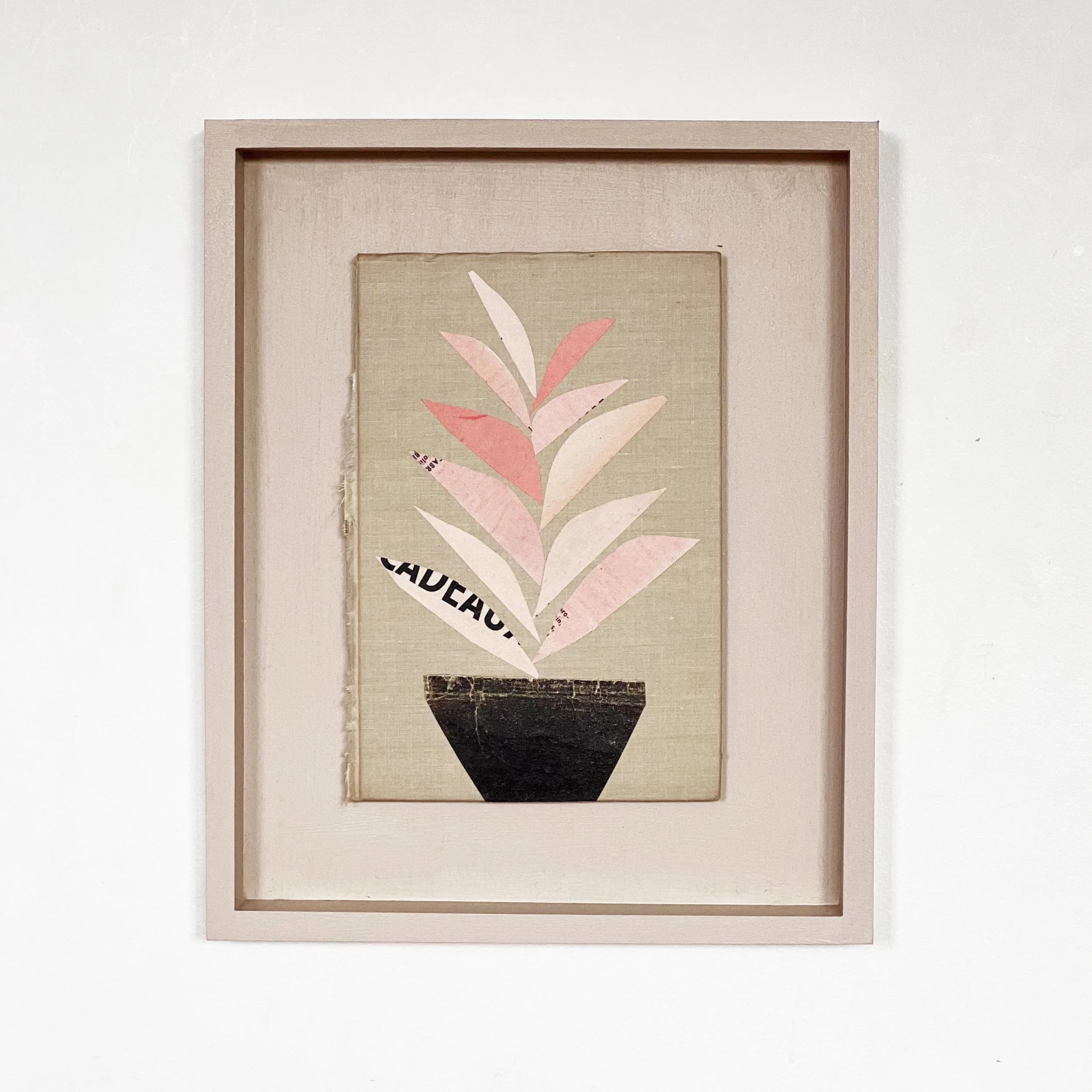 Pink Botanical Artwork - Houseplant