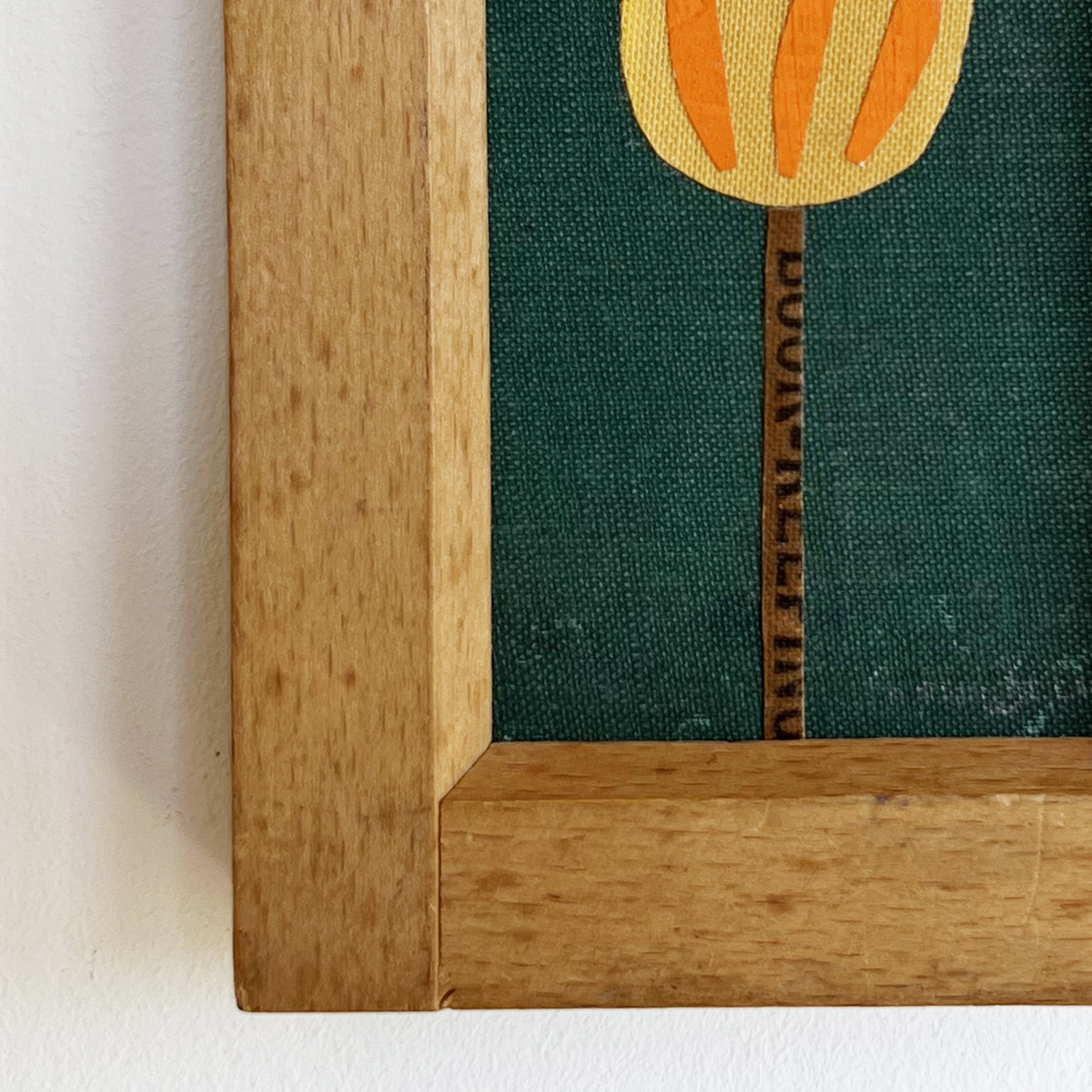 Orange Tulip c.jpg