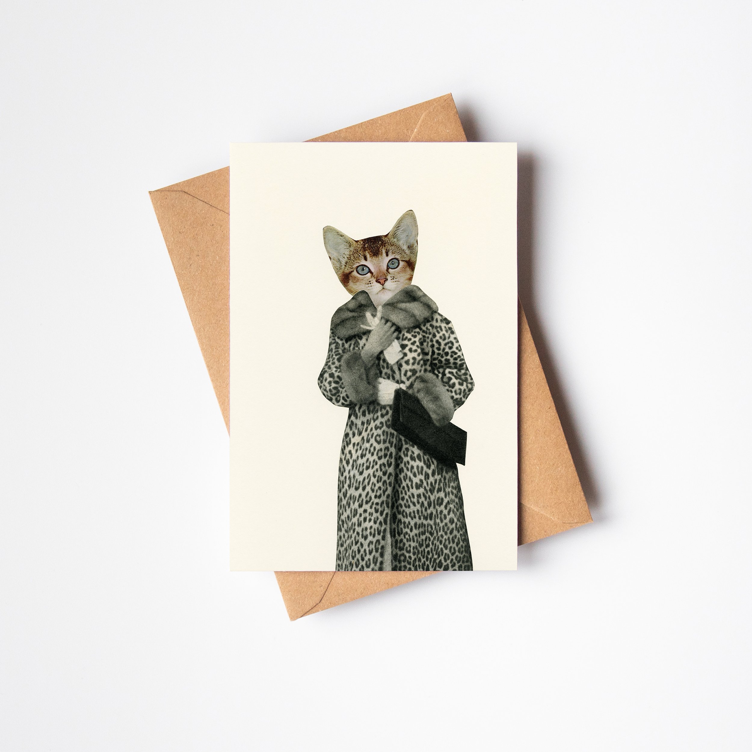 Kitten Dressed as Cat c.jpg