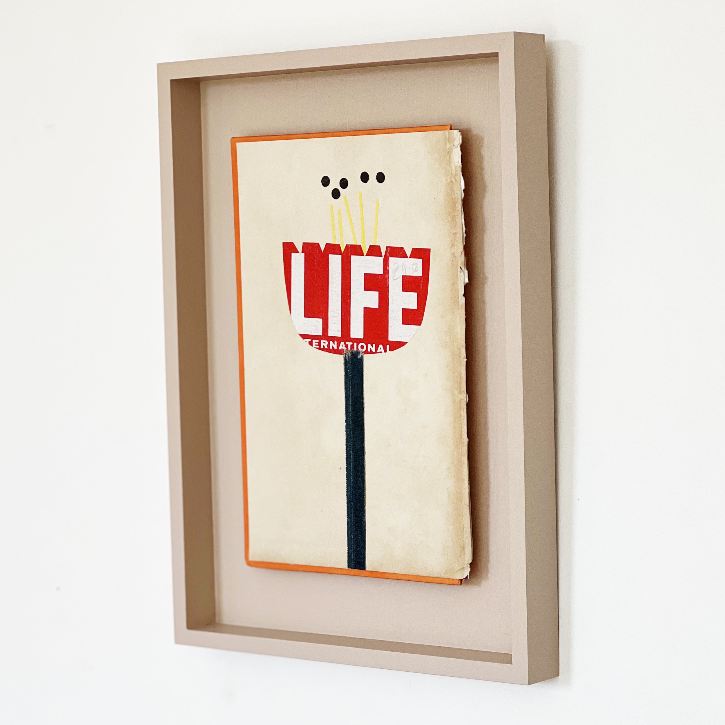 The Life of a Flower b.jpg