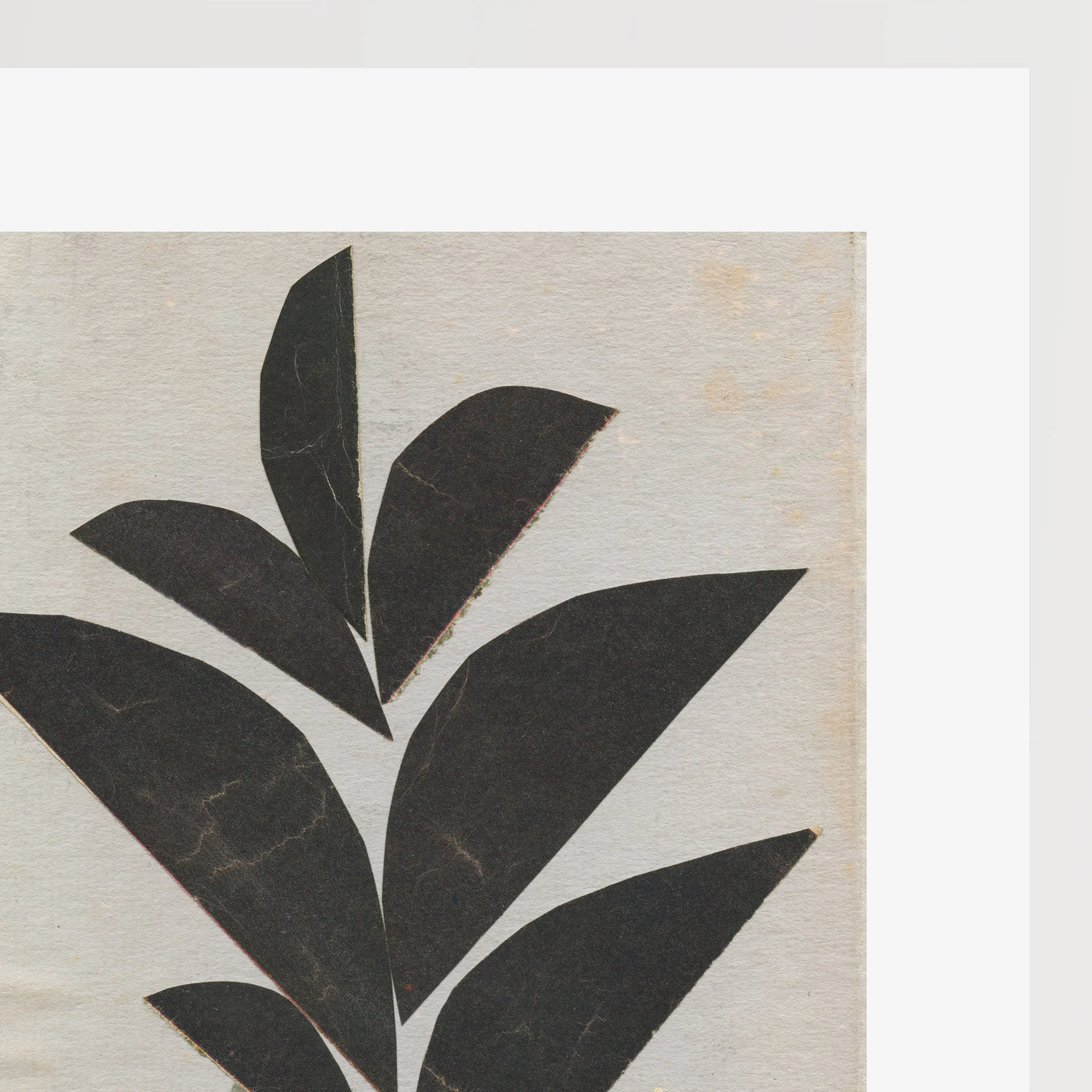 Houseplant II e.jpg