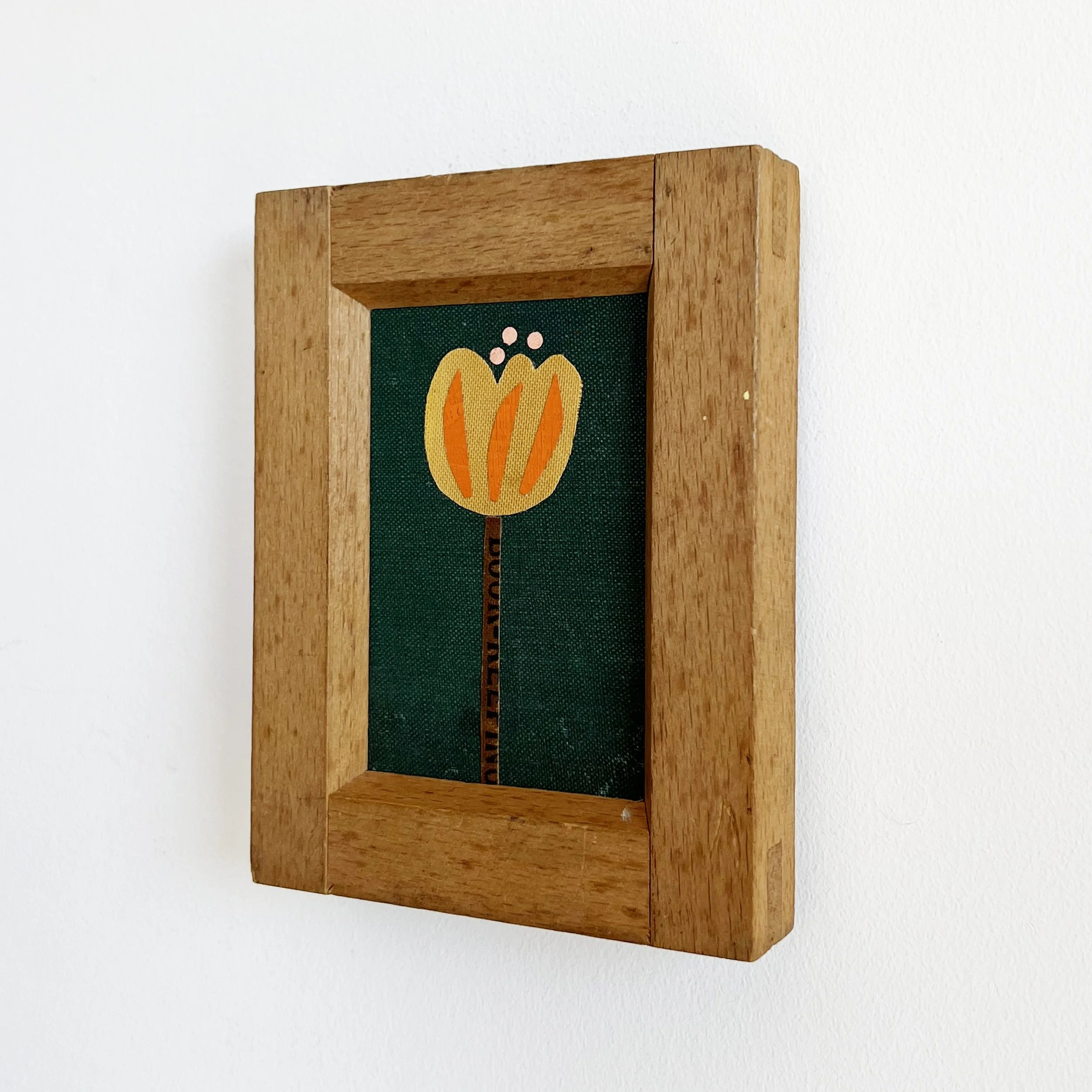 Orange Tulip b.jpg