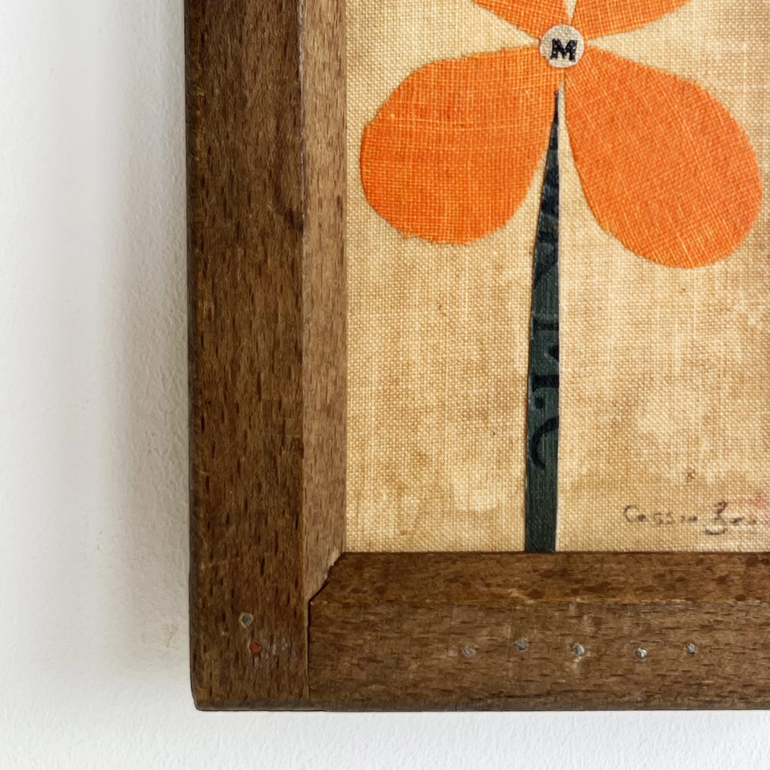 Monday's Flower d.jpg