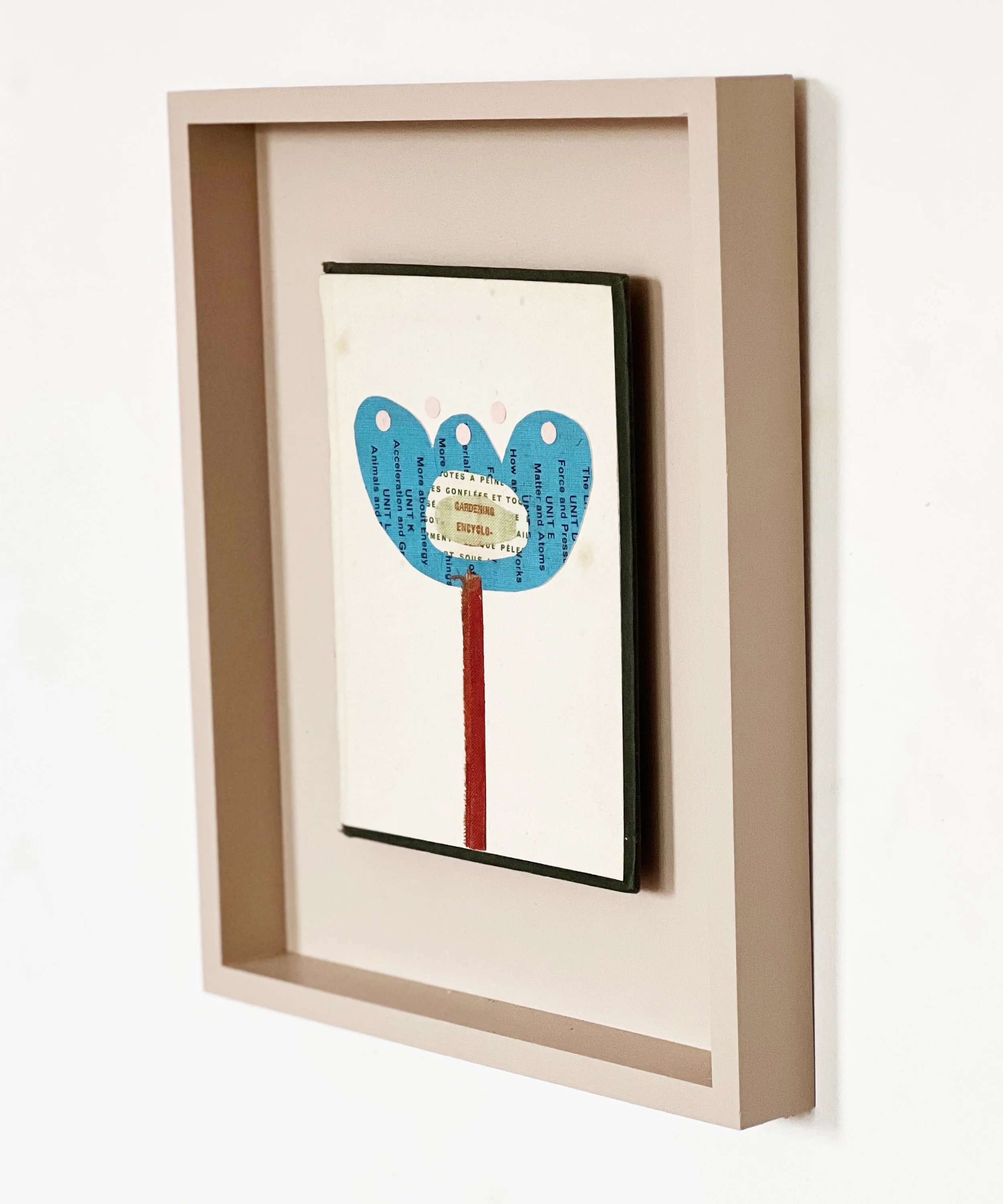 Gardening Encyclopedia c.jpg