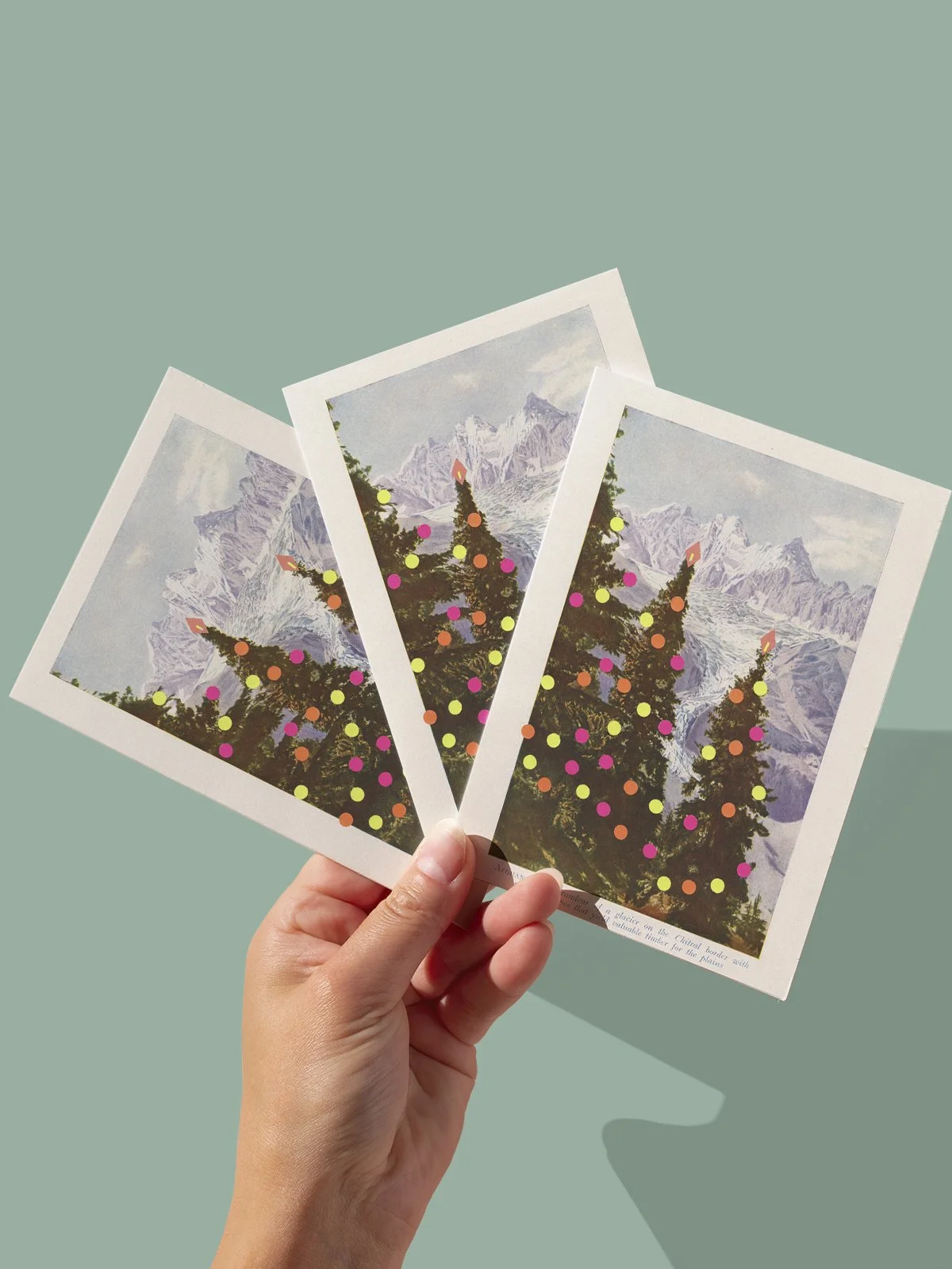 Pine Trees c.jpg