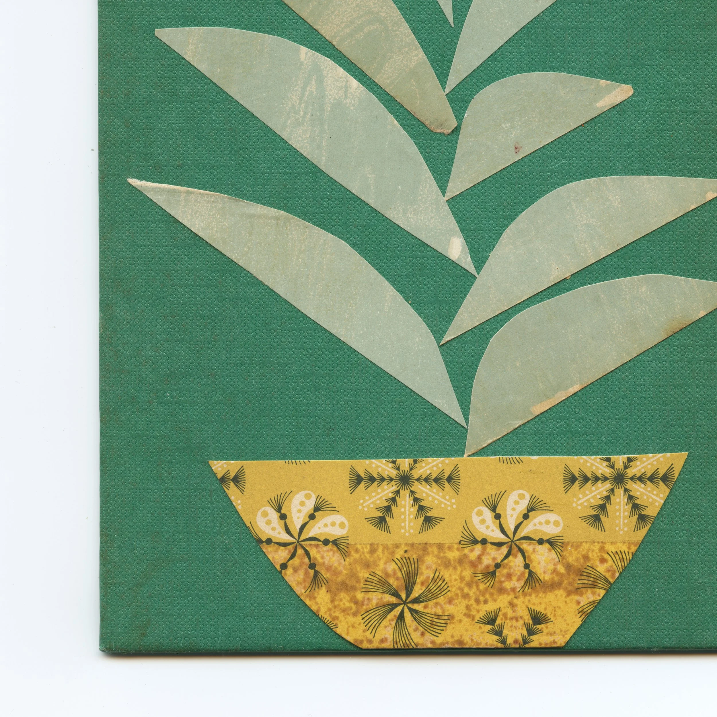 Houseplant IV b.jpg