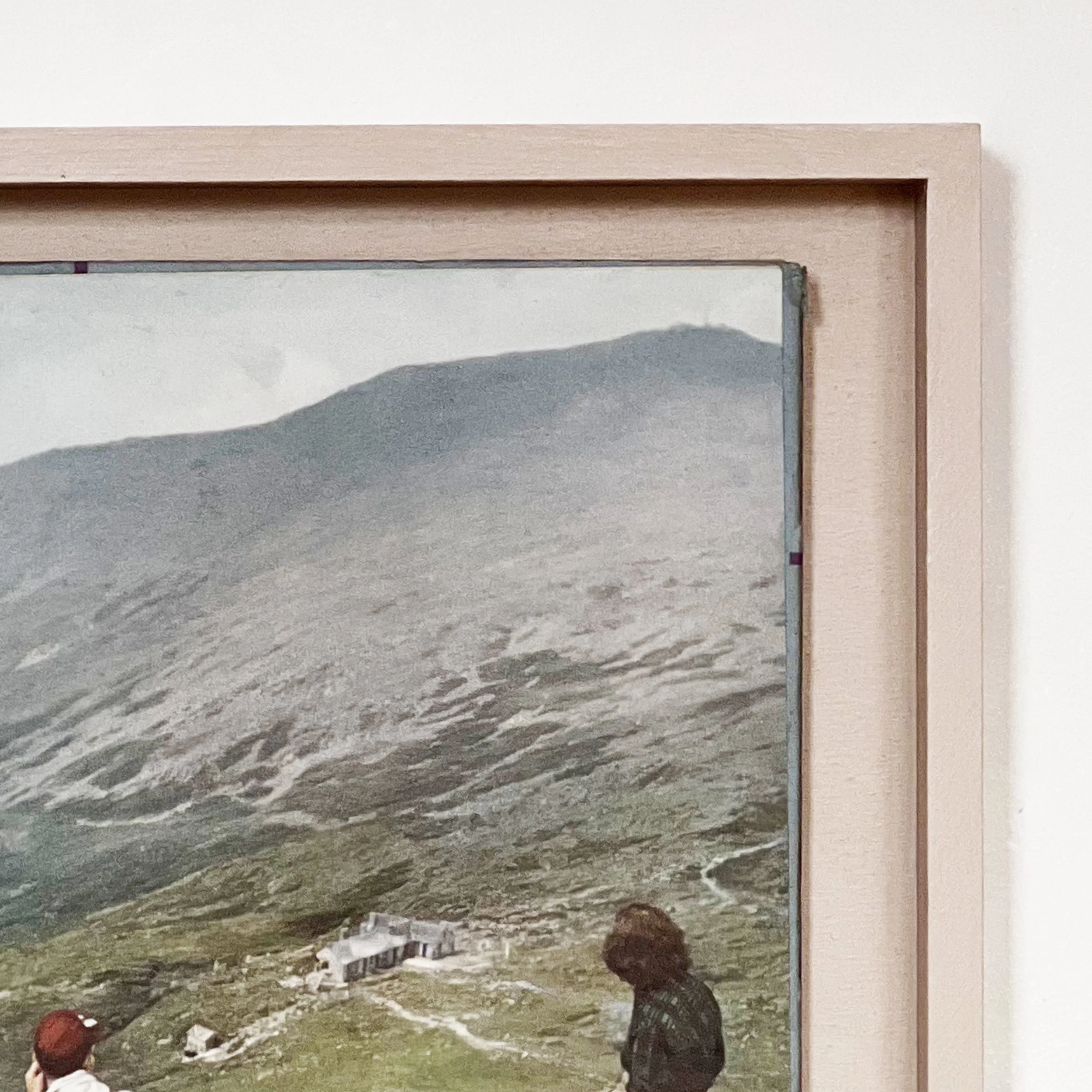 Life is a Bed of Roses d.jpg