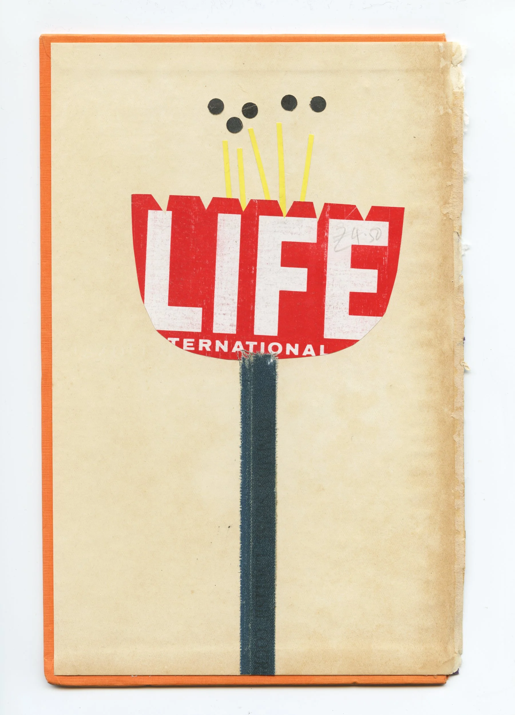 The Life of a Flower - 24x33cm Pre-Order