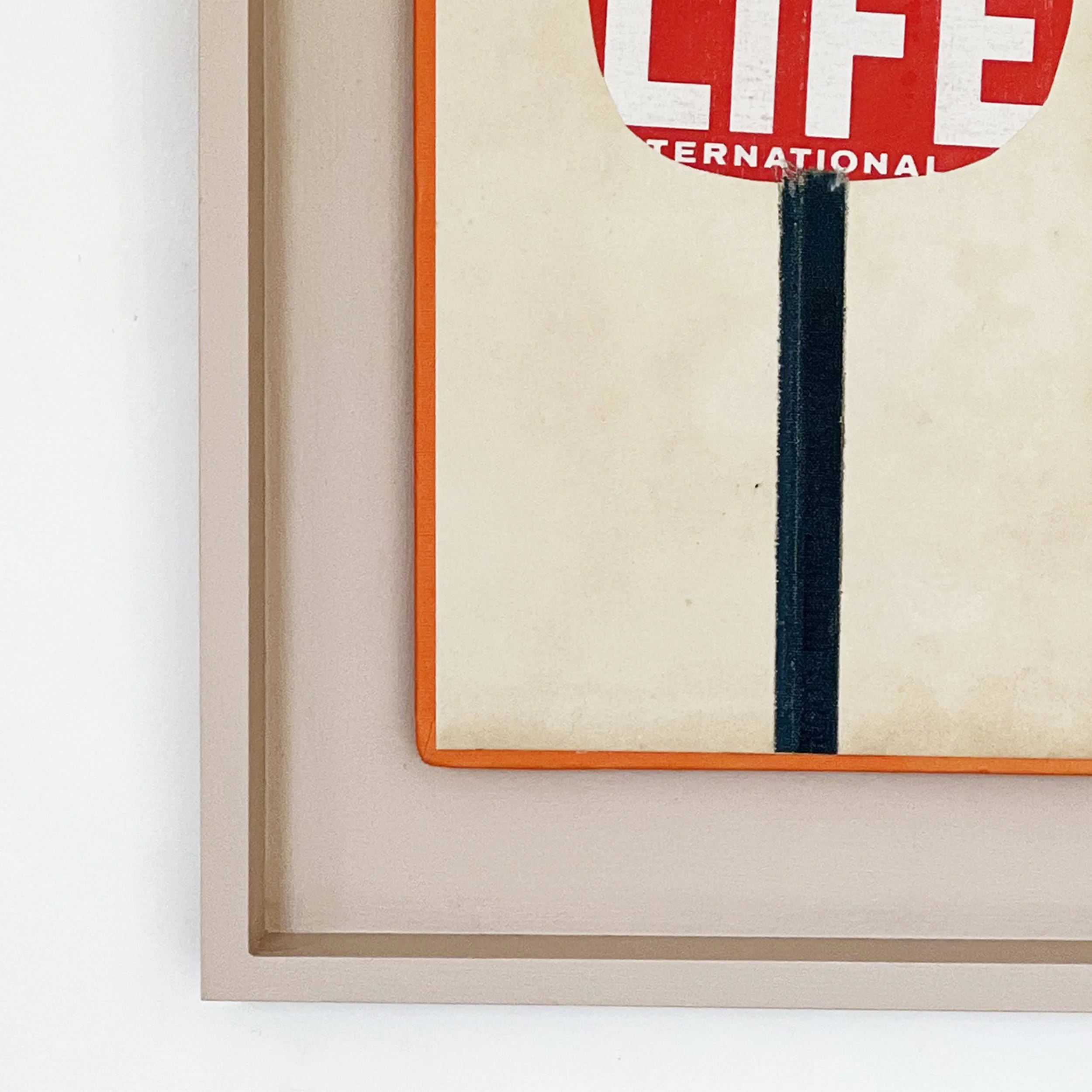 The Life of a Flower c.jpg