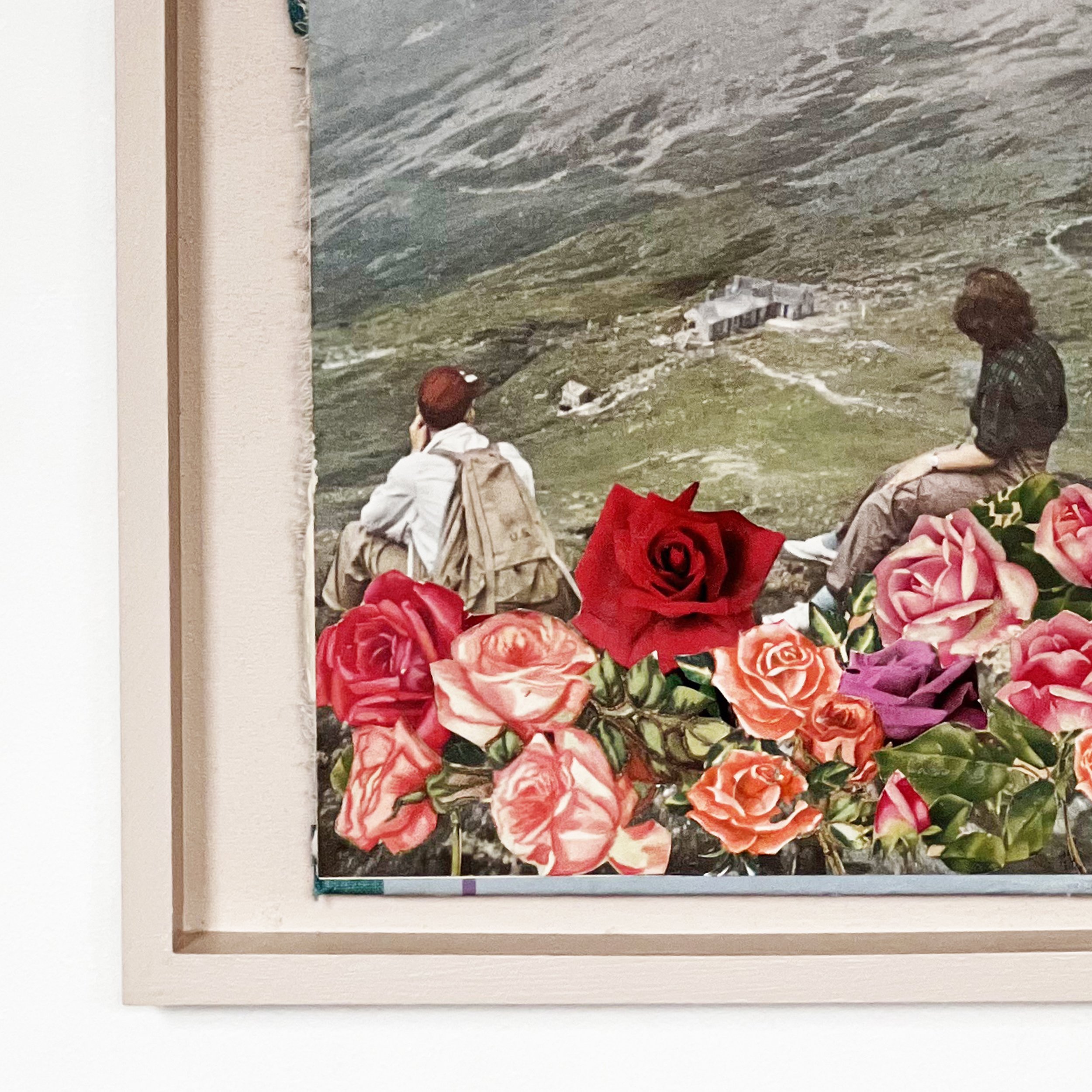 Life is a Bed of Roses c.jpg