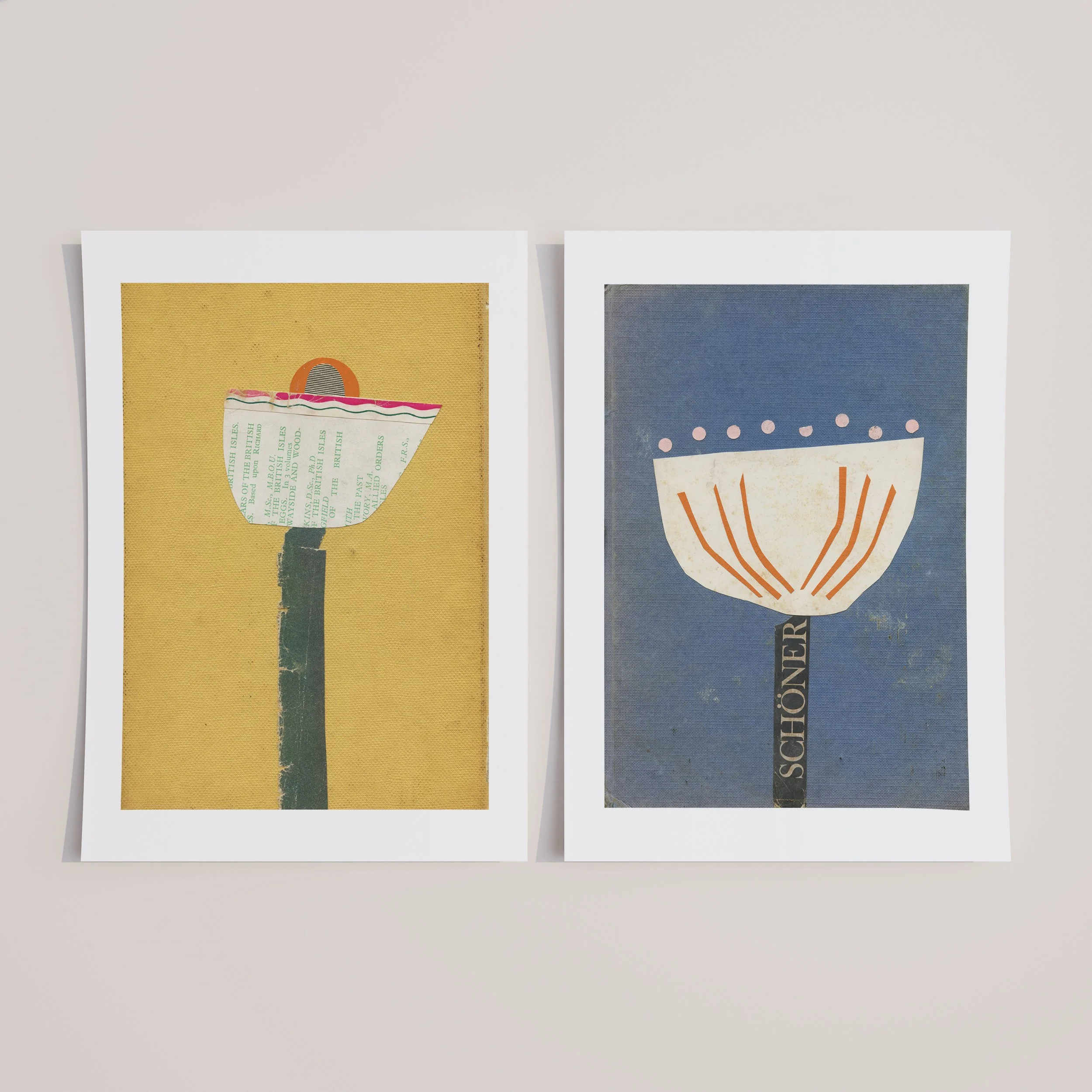 Lily and More Beautiful.jpg