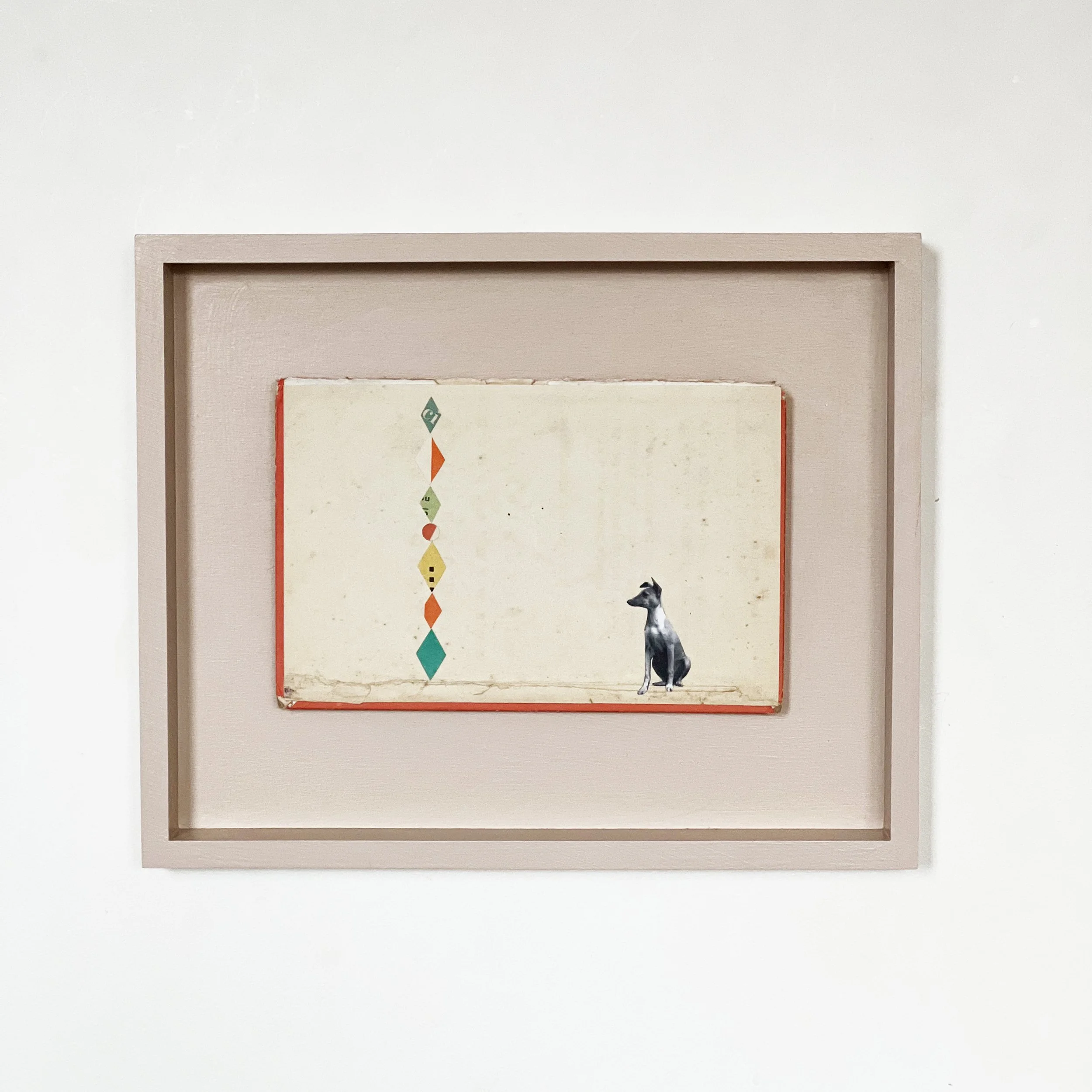 Wondrous Whippet.jpg