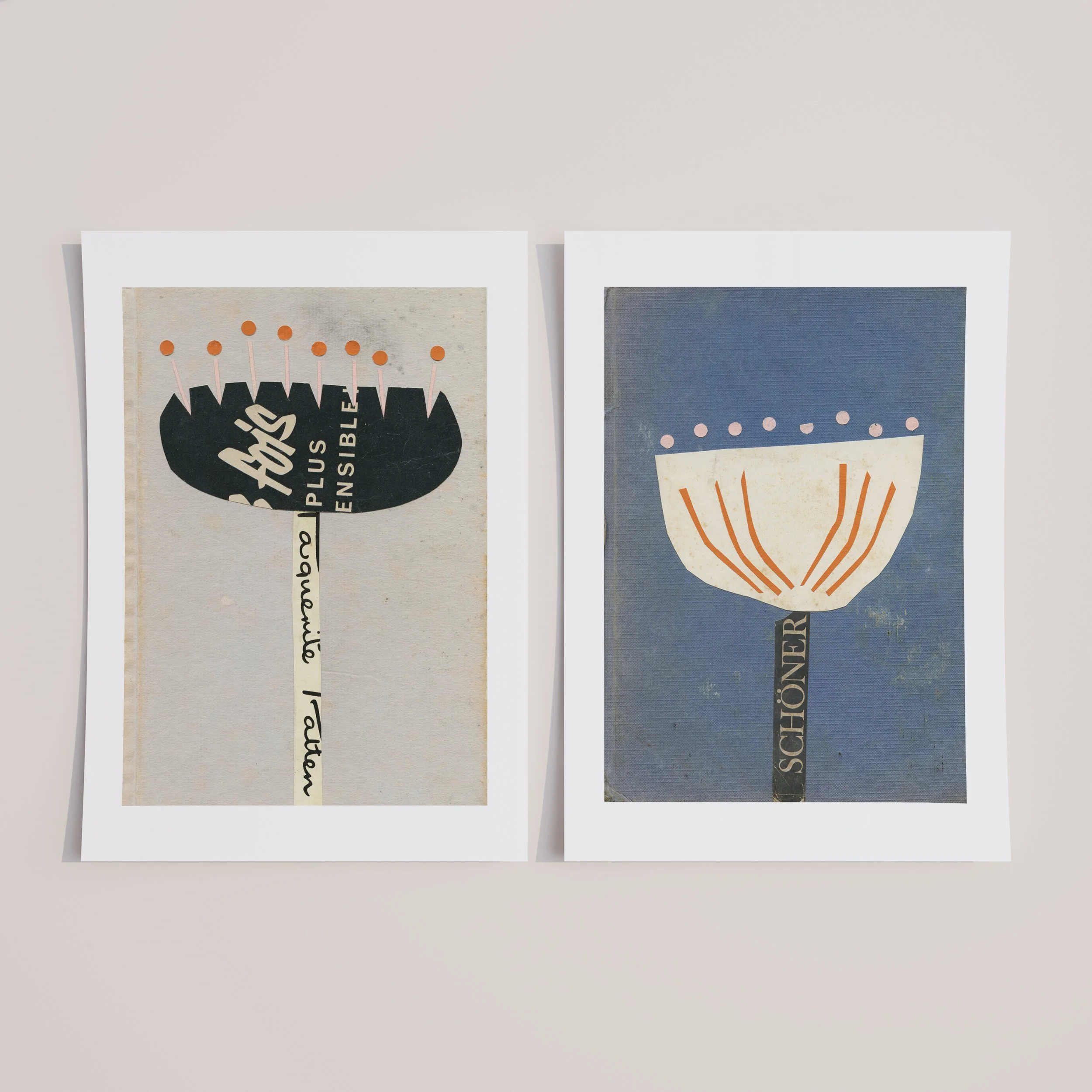 Fois and More Beautiful.jpg