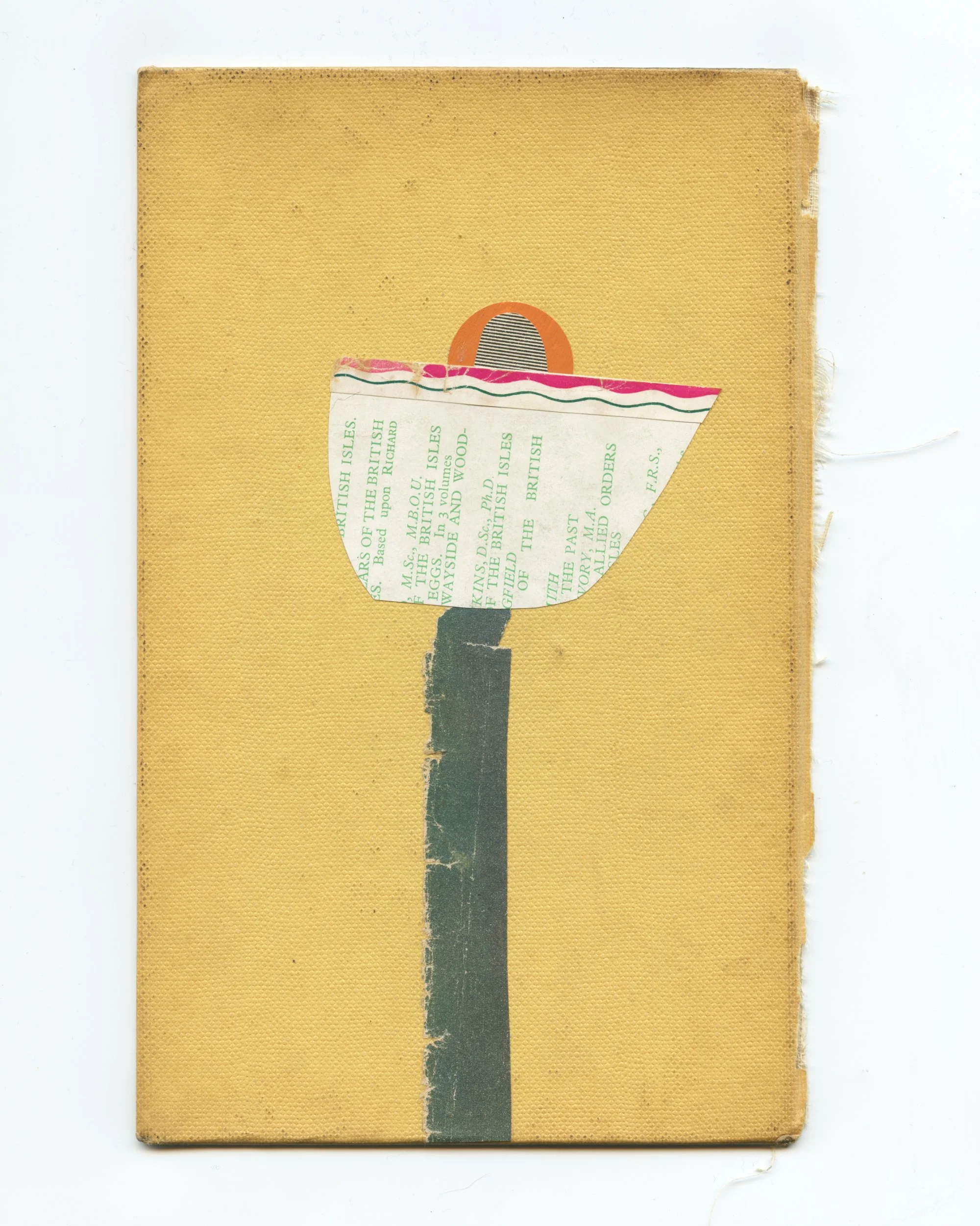 Lily - 24x33cm Pre-Order