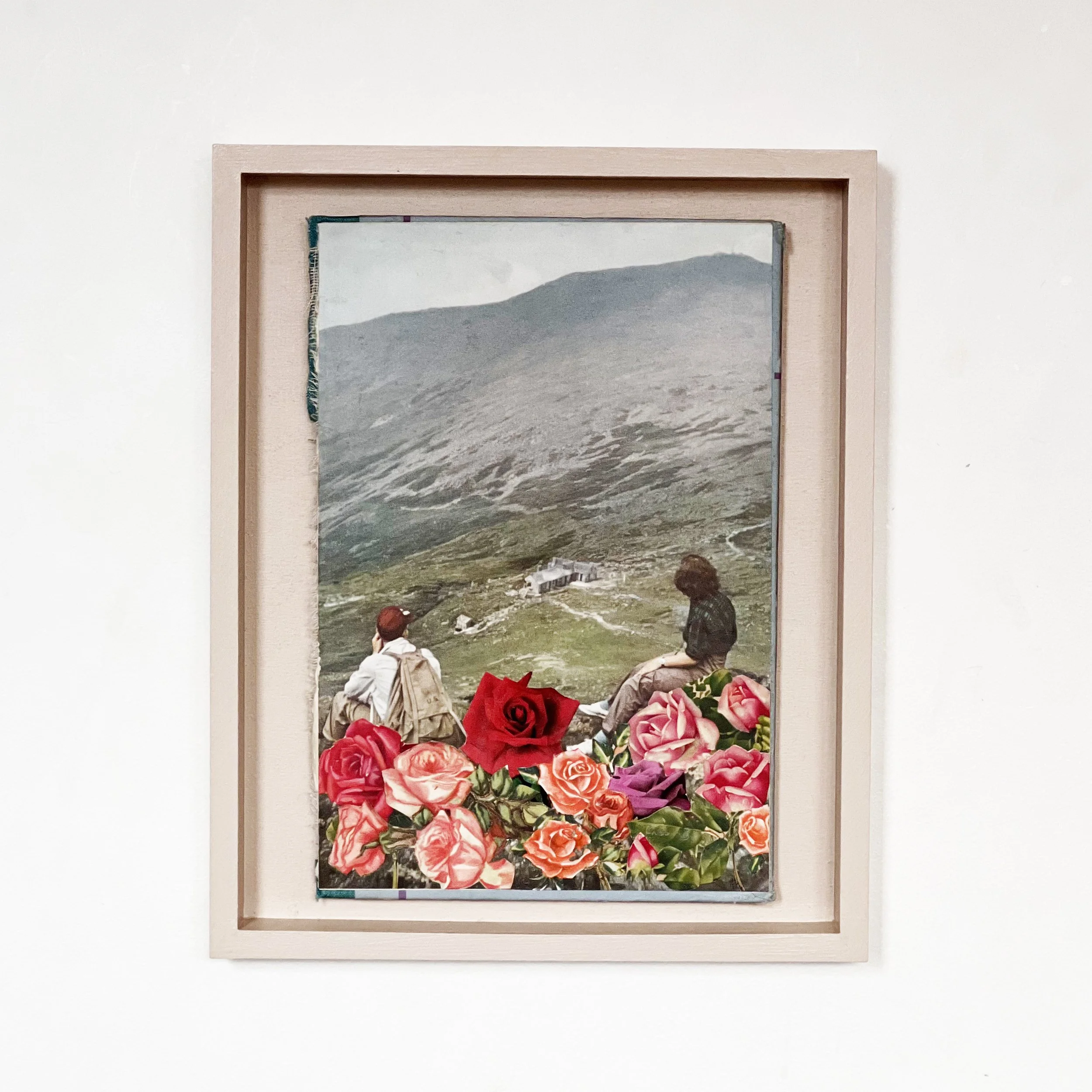 Life is a Bed of Roses.jpg