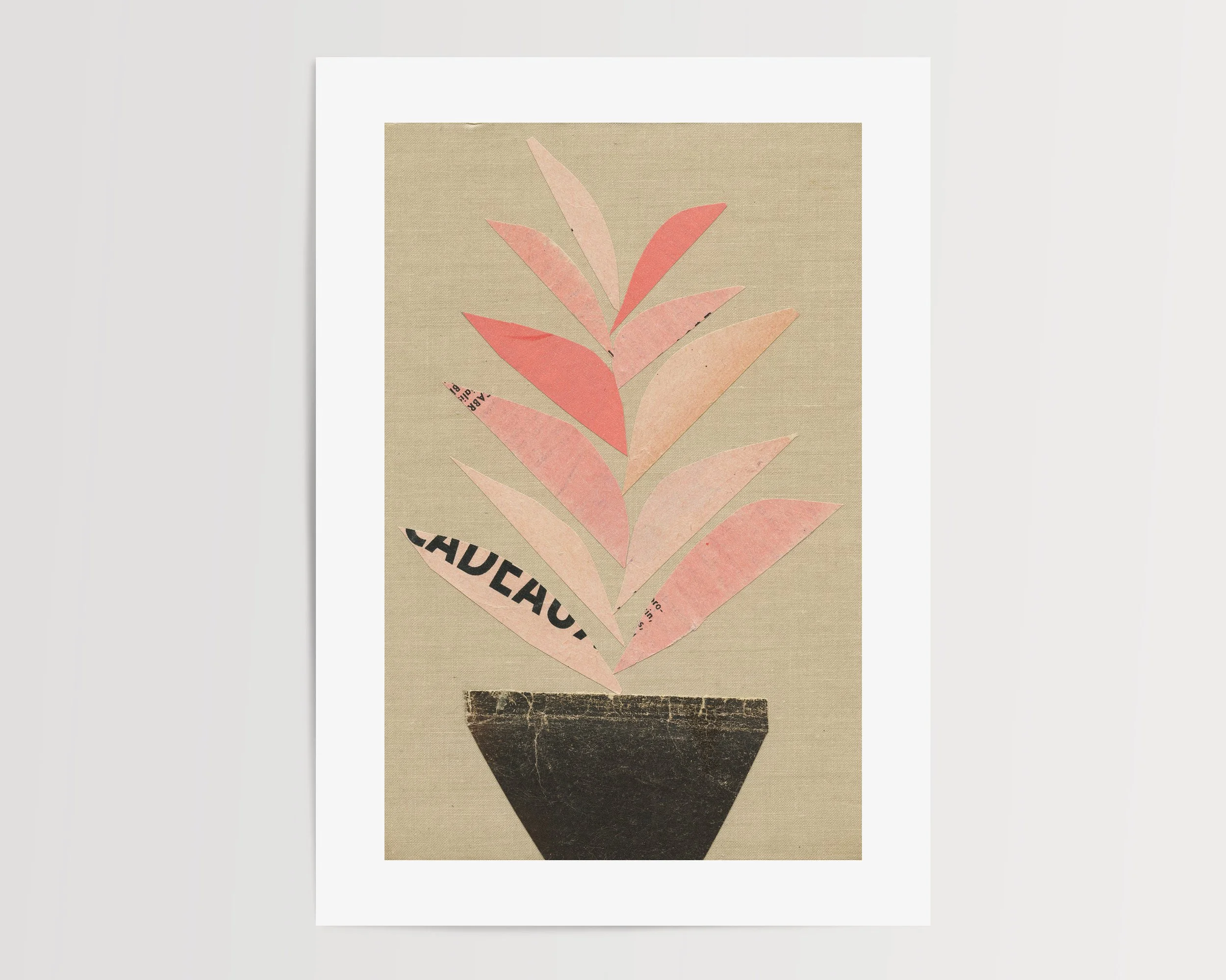 Houseplant.jpg
