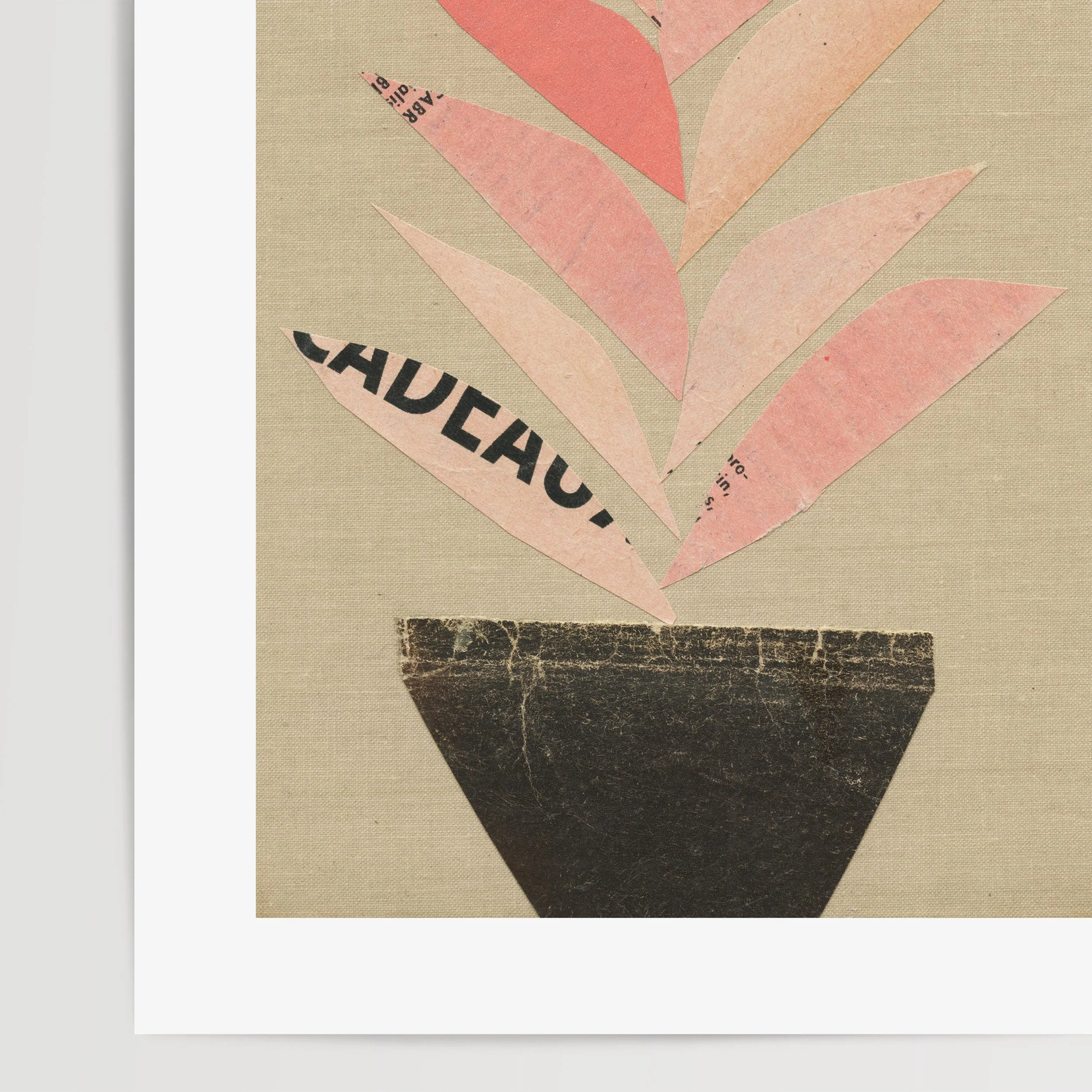 Houseplant c.jpg