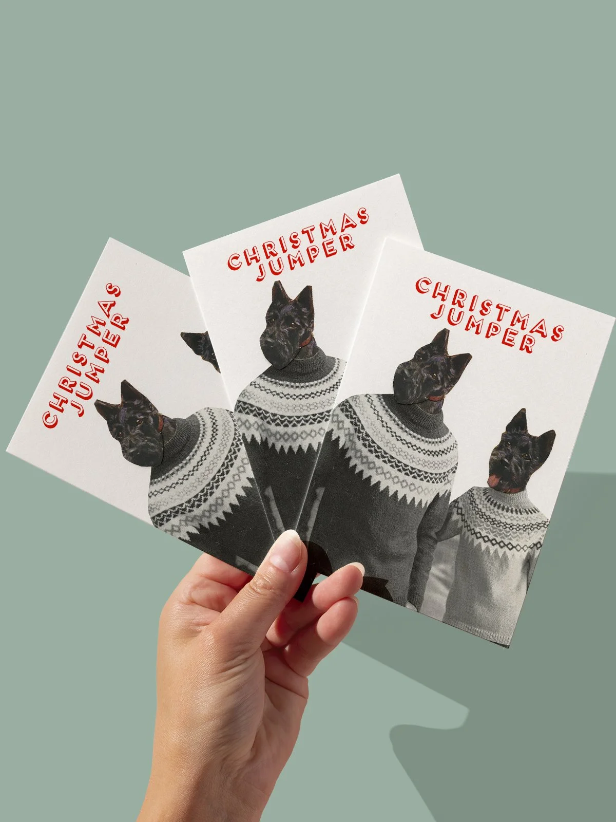Christmas Jumper c.jpg