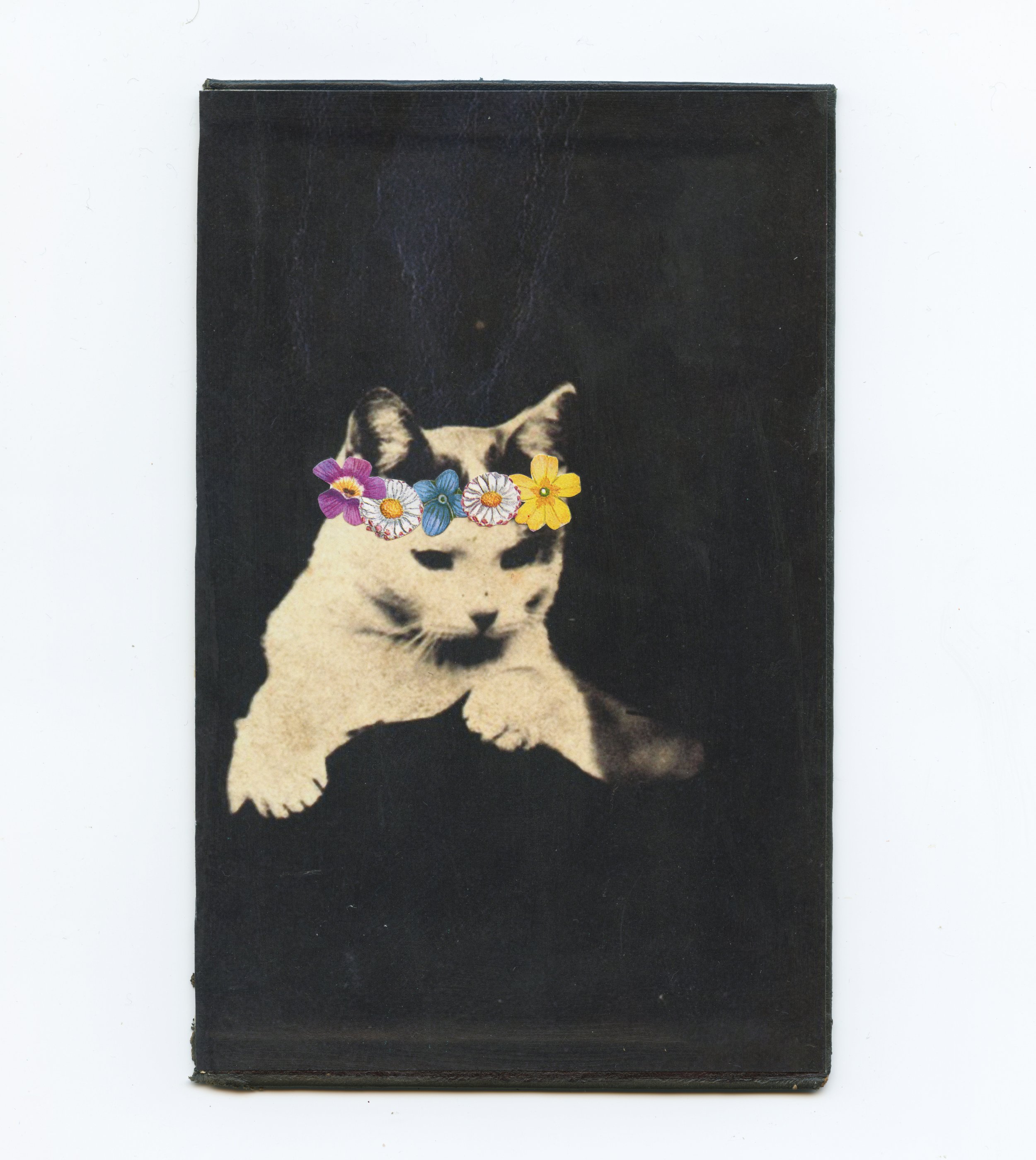 Floral Cat - Unframed - 11x17.5cm