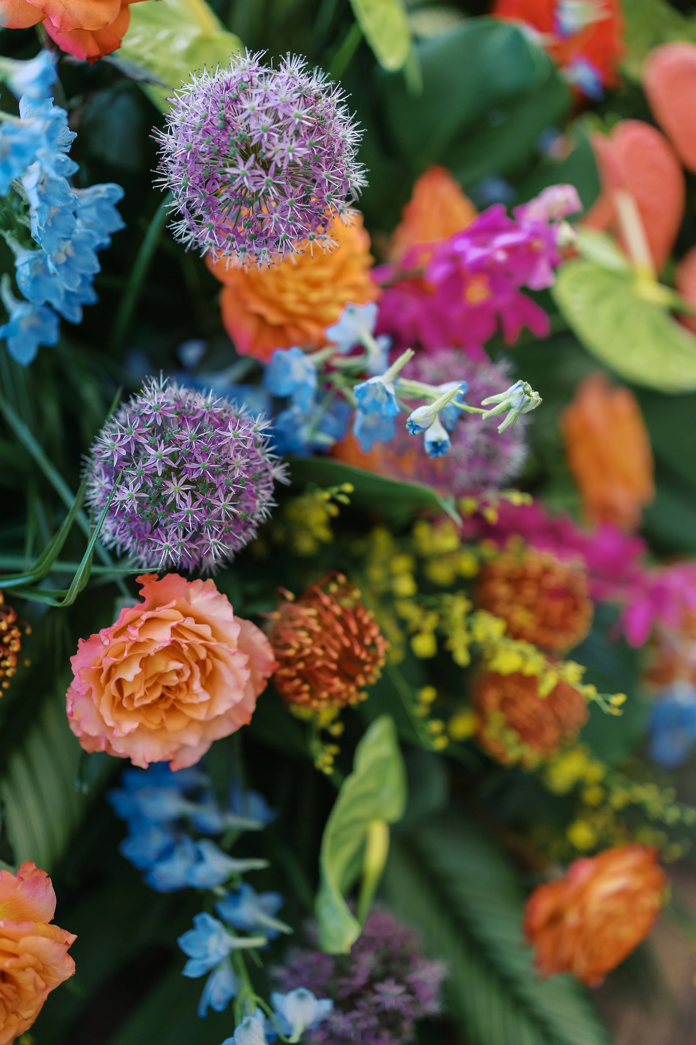 IMG_7679.JPG