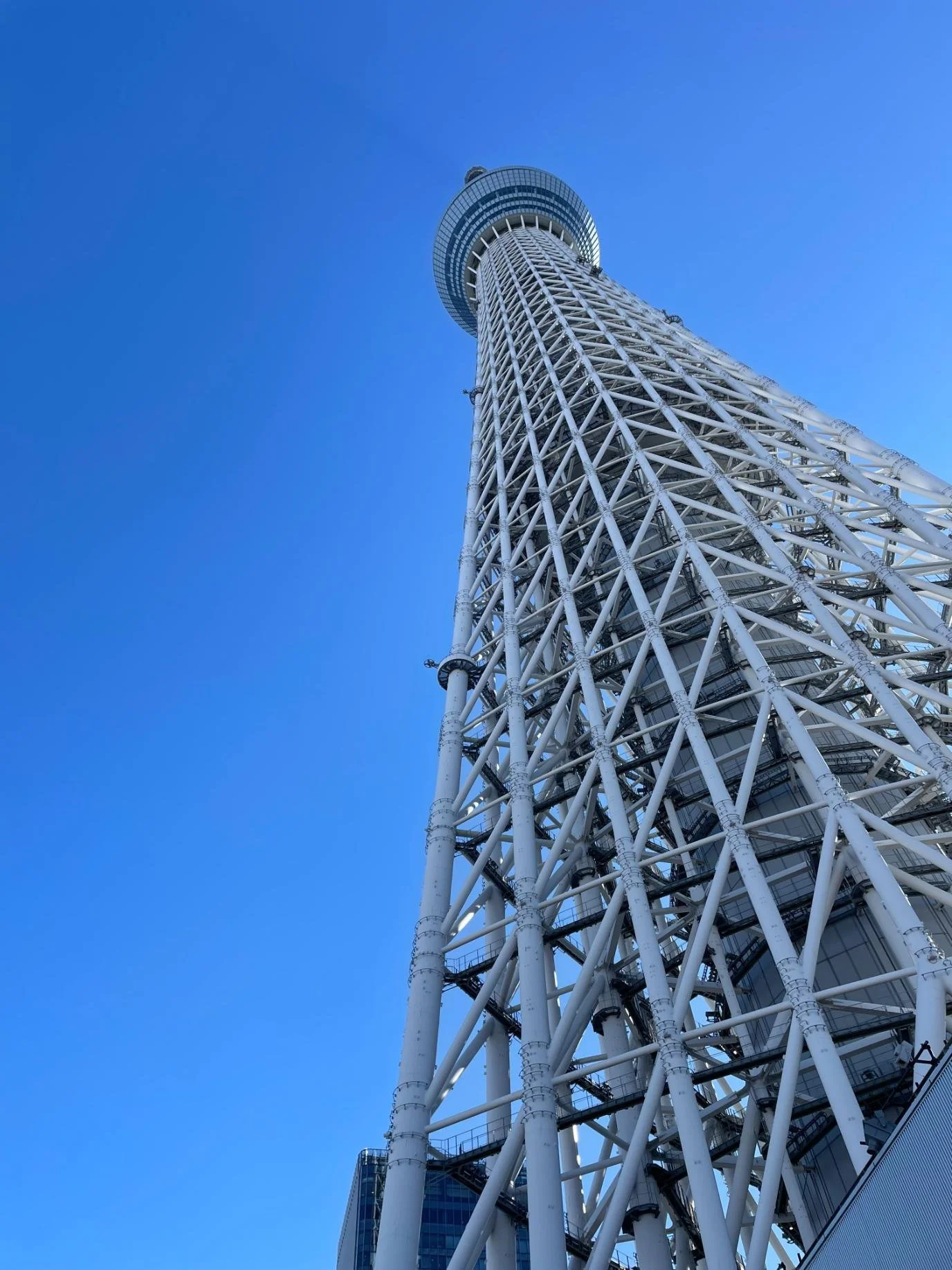 Five Days Tokyo Itinerary_7892.jpg