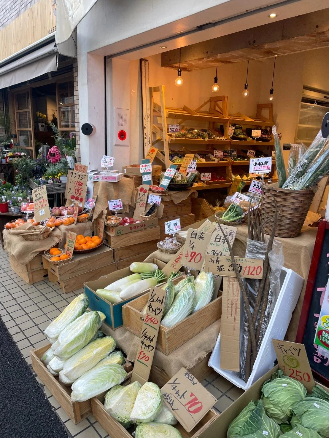 Five Days Tokyo Itinerary_7925.jpg