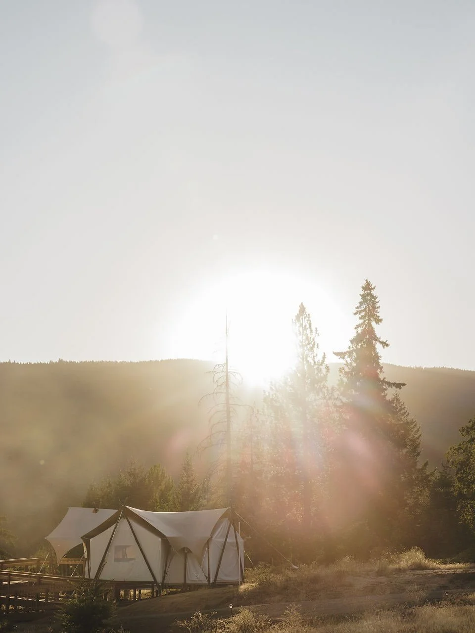 Recent events with @mintcollective_experiences 🐒💚🌲

Traveling to Columbia River Gorge @undercanvasofficial with @reesesbookclub was a dream! Star-gazing in yurts, cherry picking, swimming in the river, crafts, s&rsquo;mores, and&mdash;my fav&mdash
