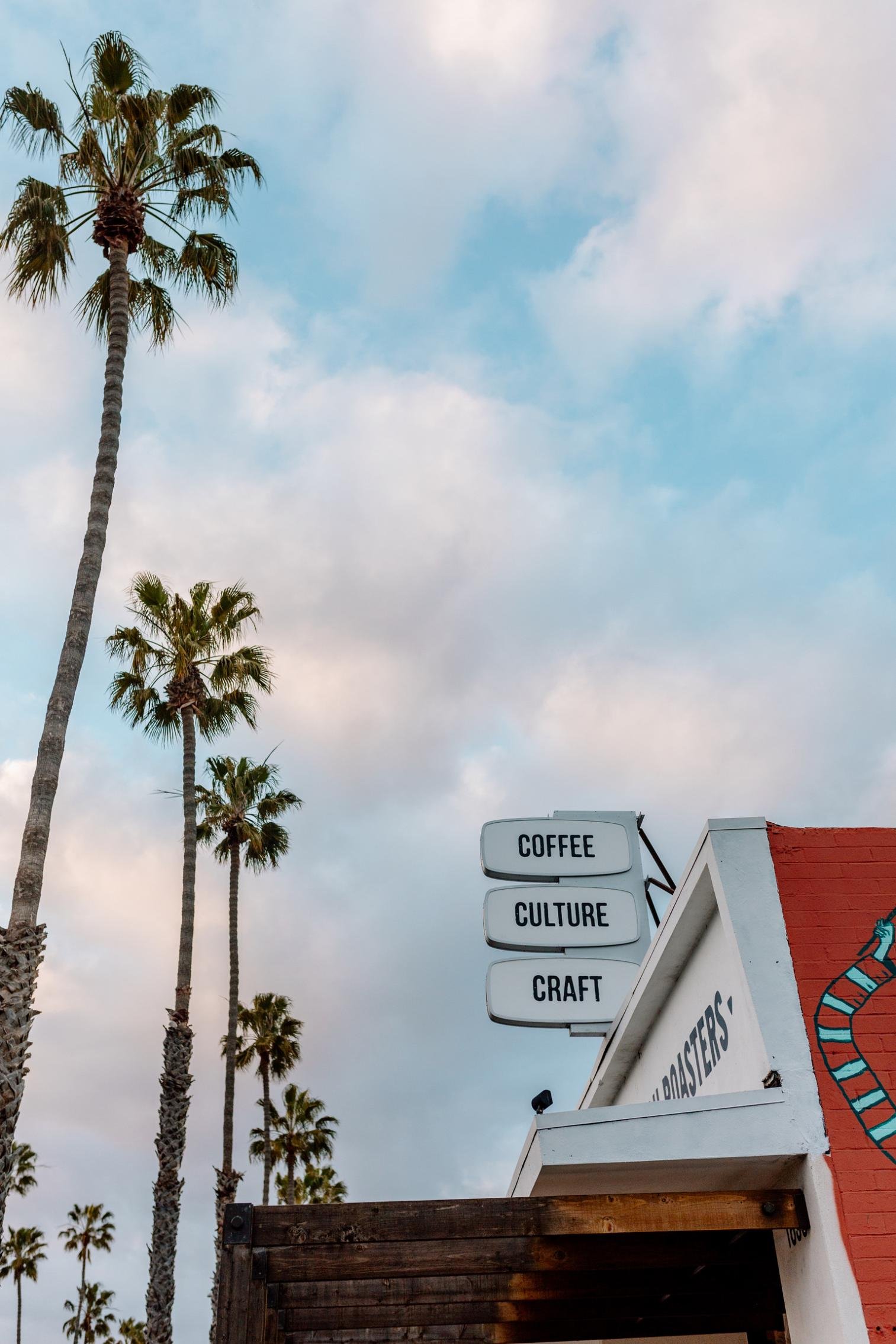 Revolution Roasters Palm Trees Sign.jpg