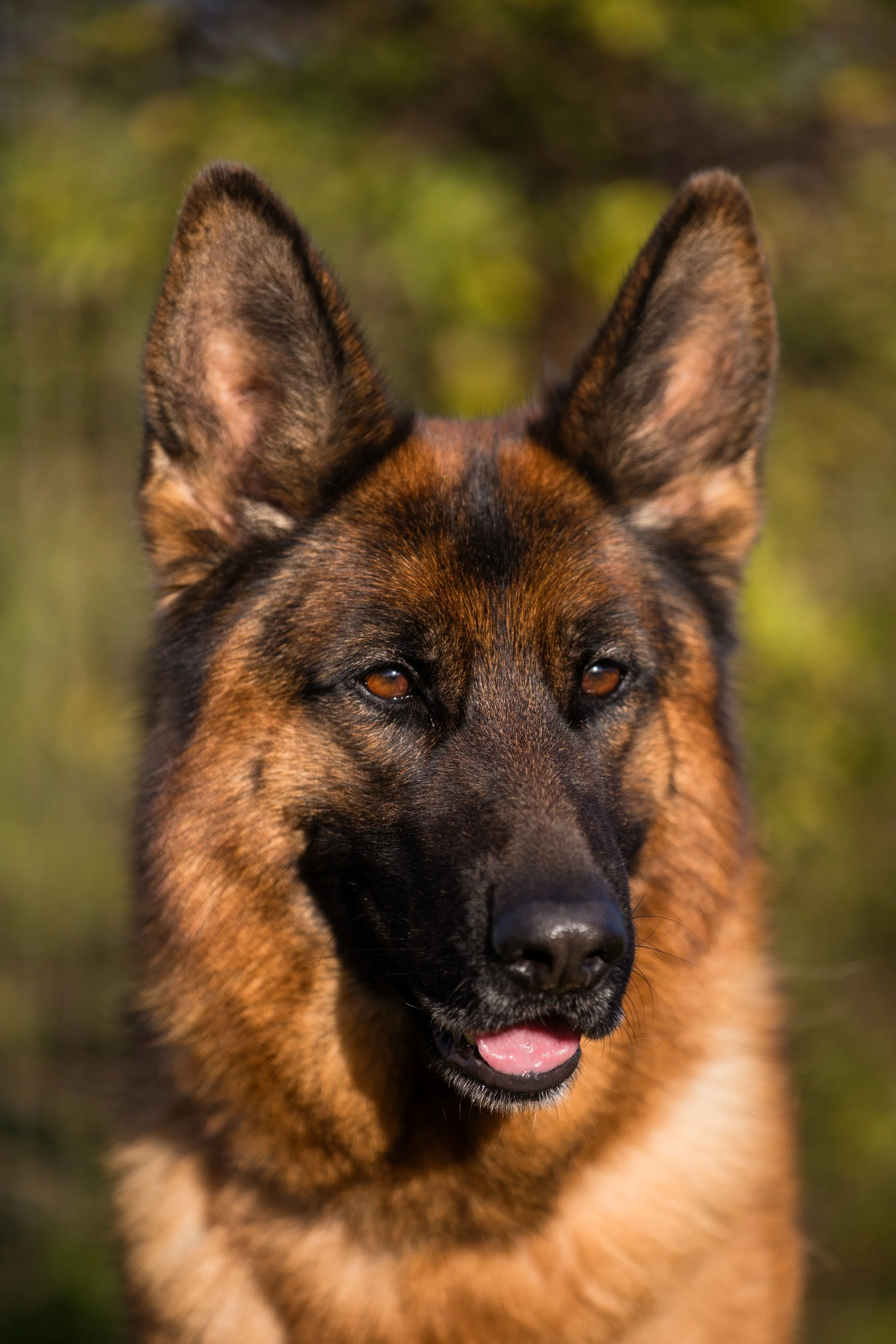 Verona Mont D'Osiris