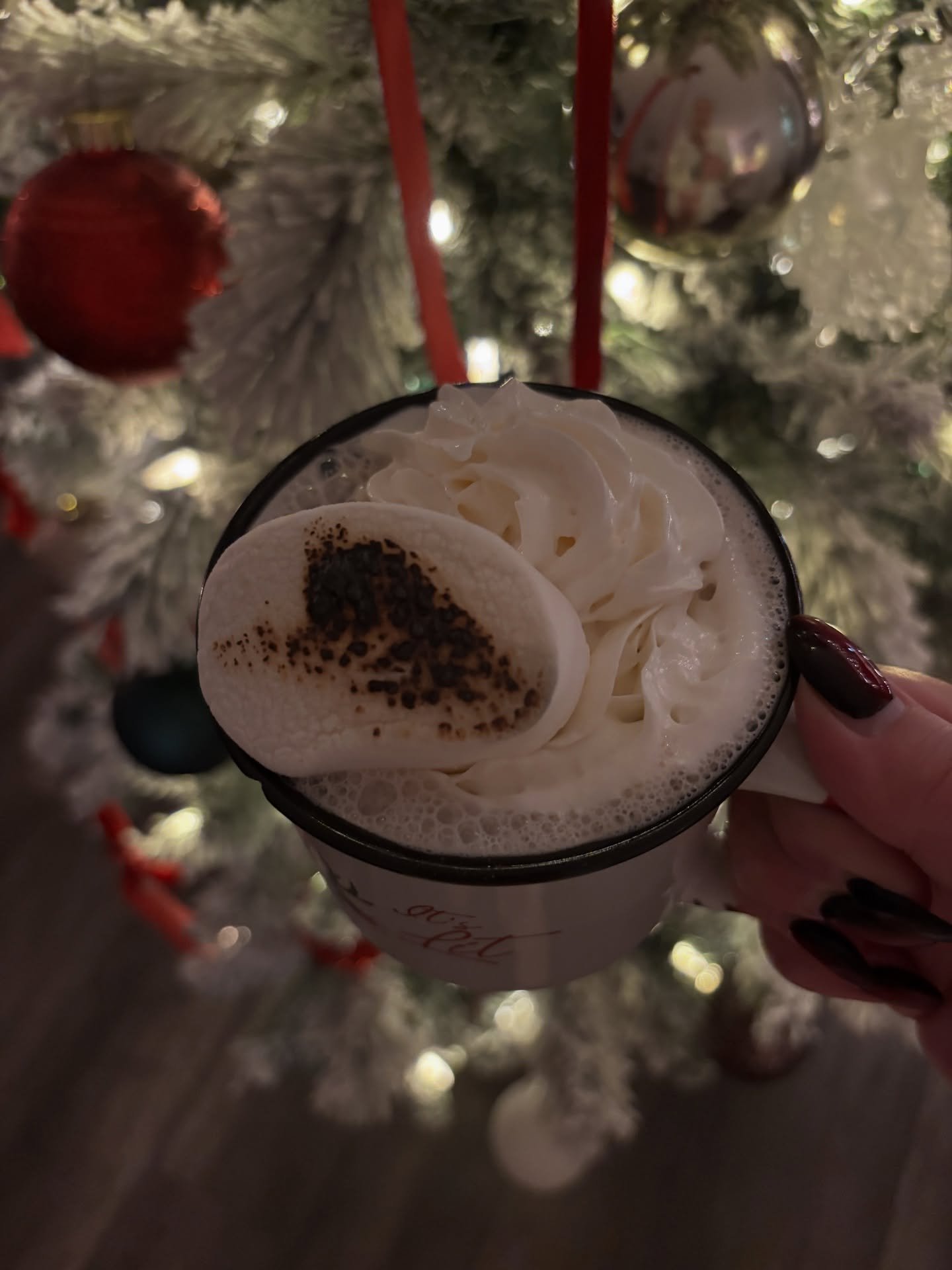 December photo dump from countless  parties hosted, my first turkey roasted, and so many great memories made with friends and family. My home felt so warm and full of love this season, and I&rsquo;m so grateful for it all.

These last couple weeks I&