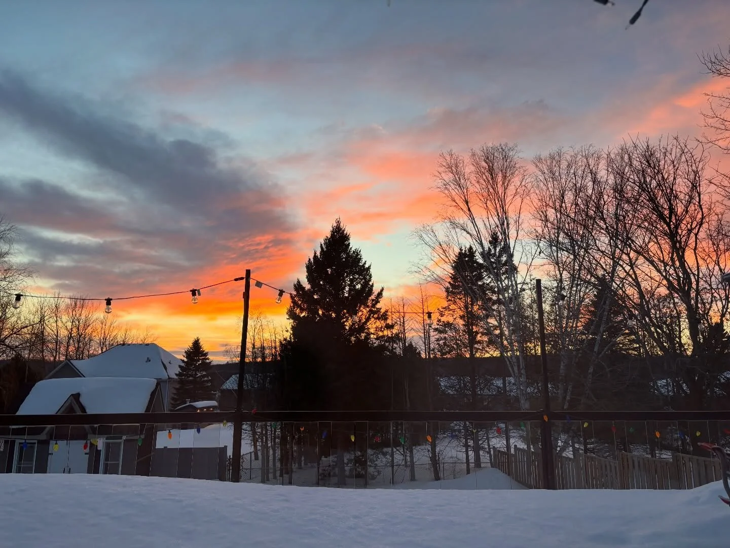 March photo dump 💚🌅 🤟