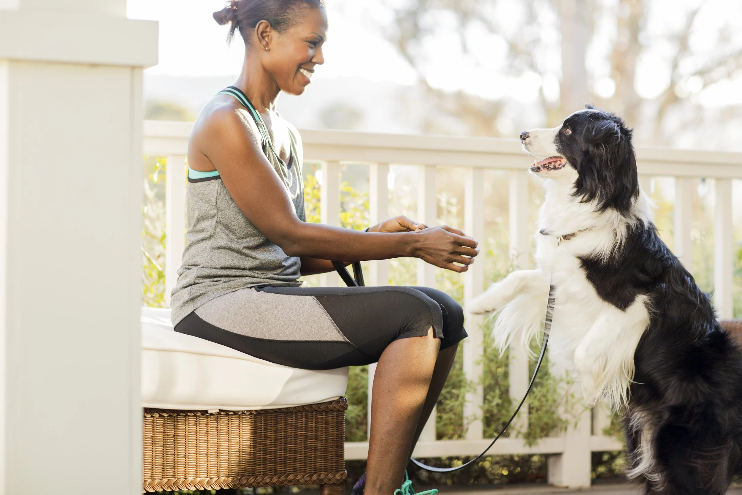 PURINA_ONE_2991.jpg