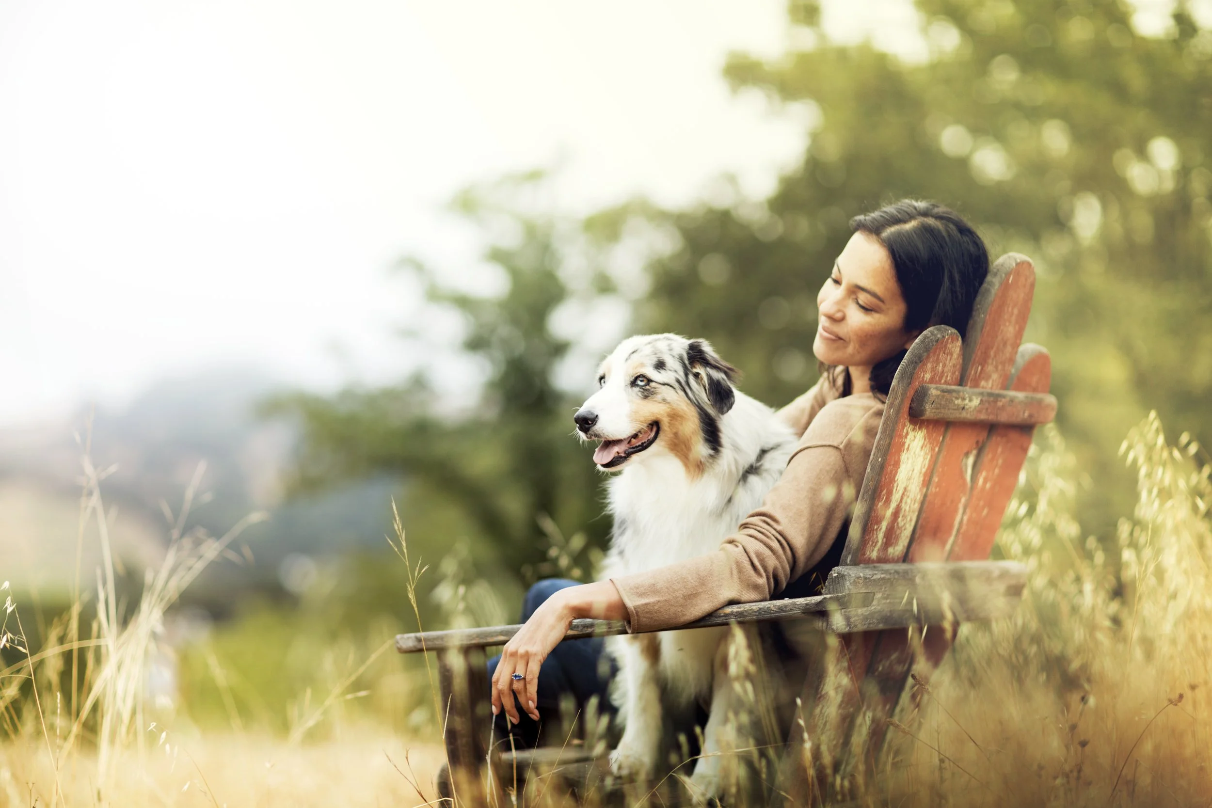 PURINA_ONE_3948.jpg