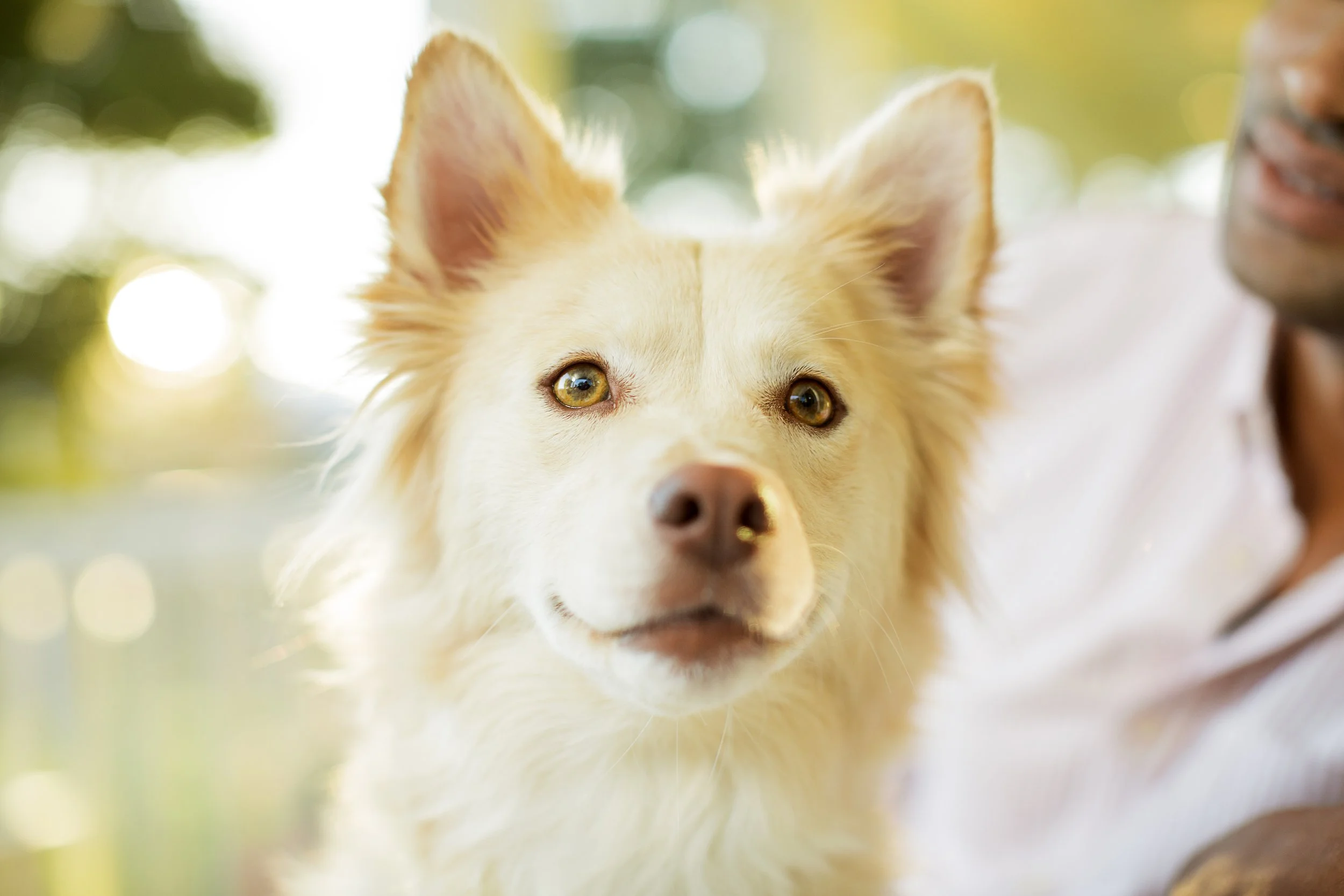 PURINA_ONE_3437.jpg