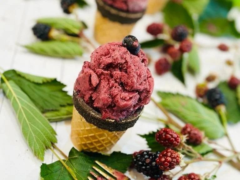 Blackberry Banana Frozen Yogurt