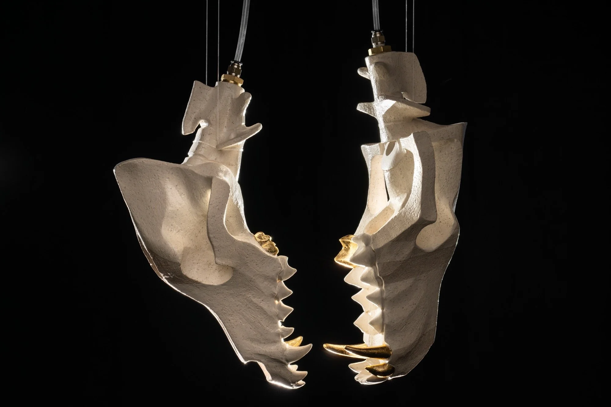 Cannupa Hanska Luger_25th BIENNALE OF SYDNEY (2026)-013-s.jpeg