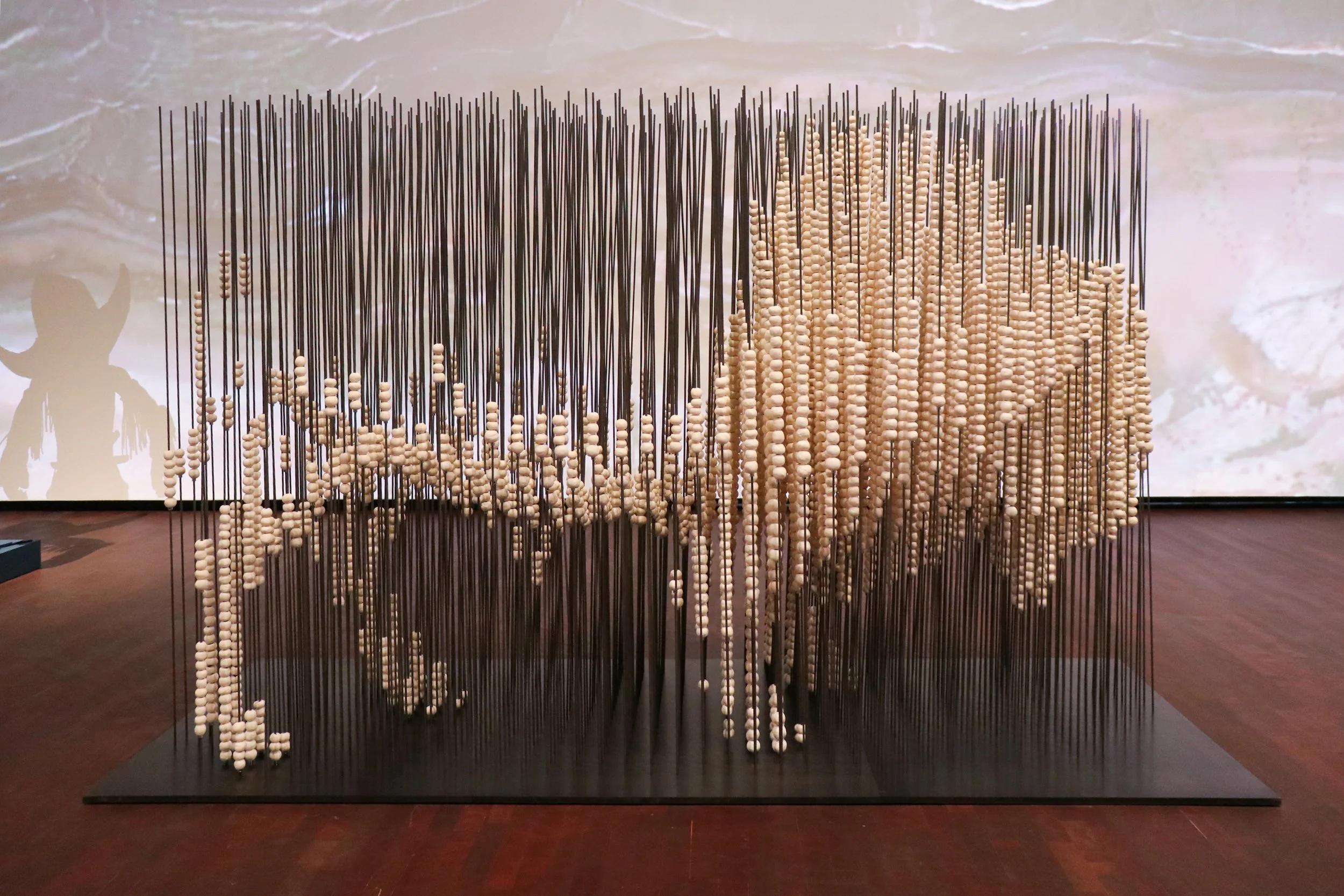 Census Growth Feb 3-5 (1).jpg