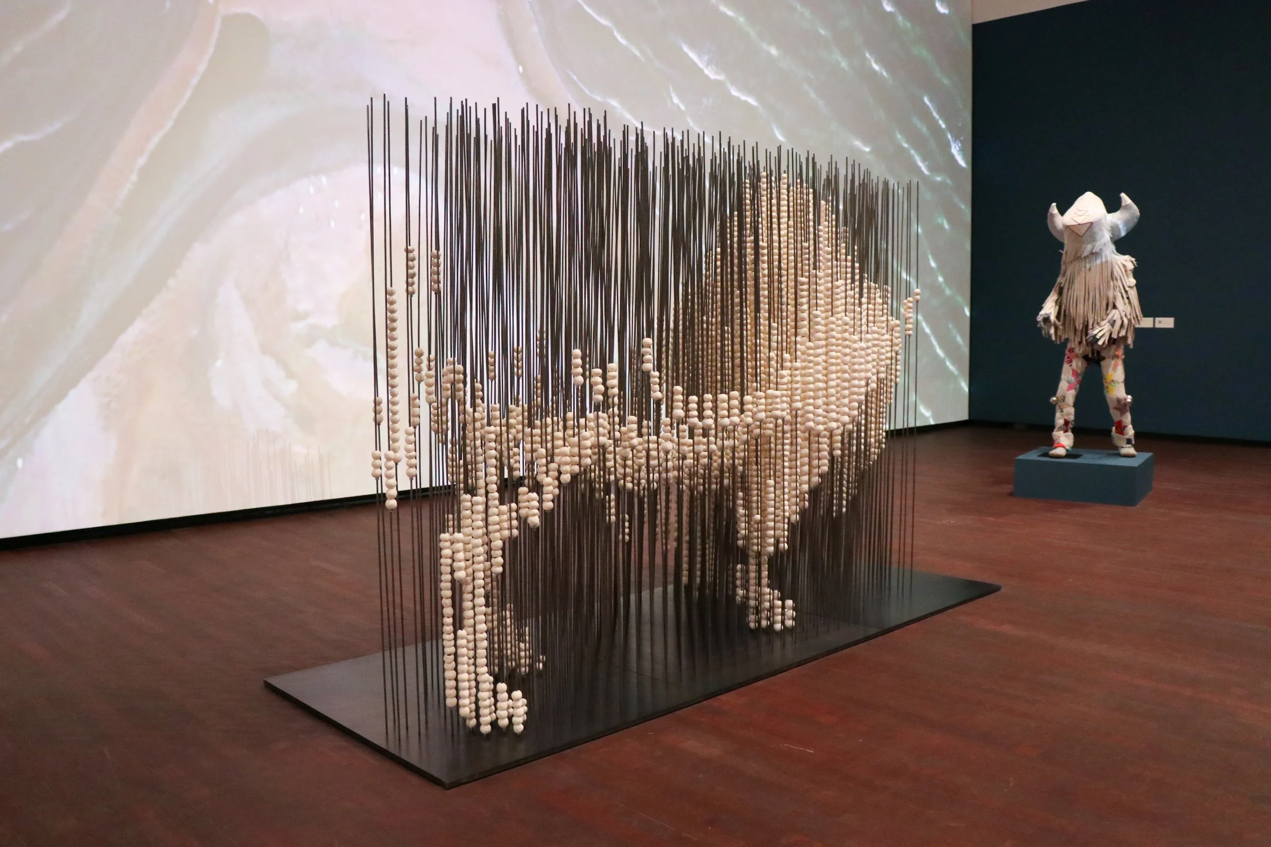 Census Growth Feb 3-3.jpg