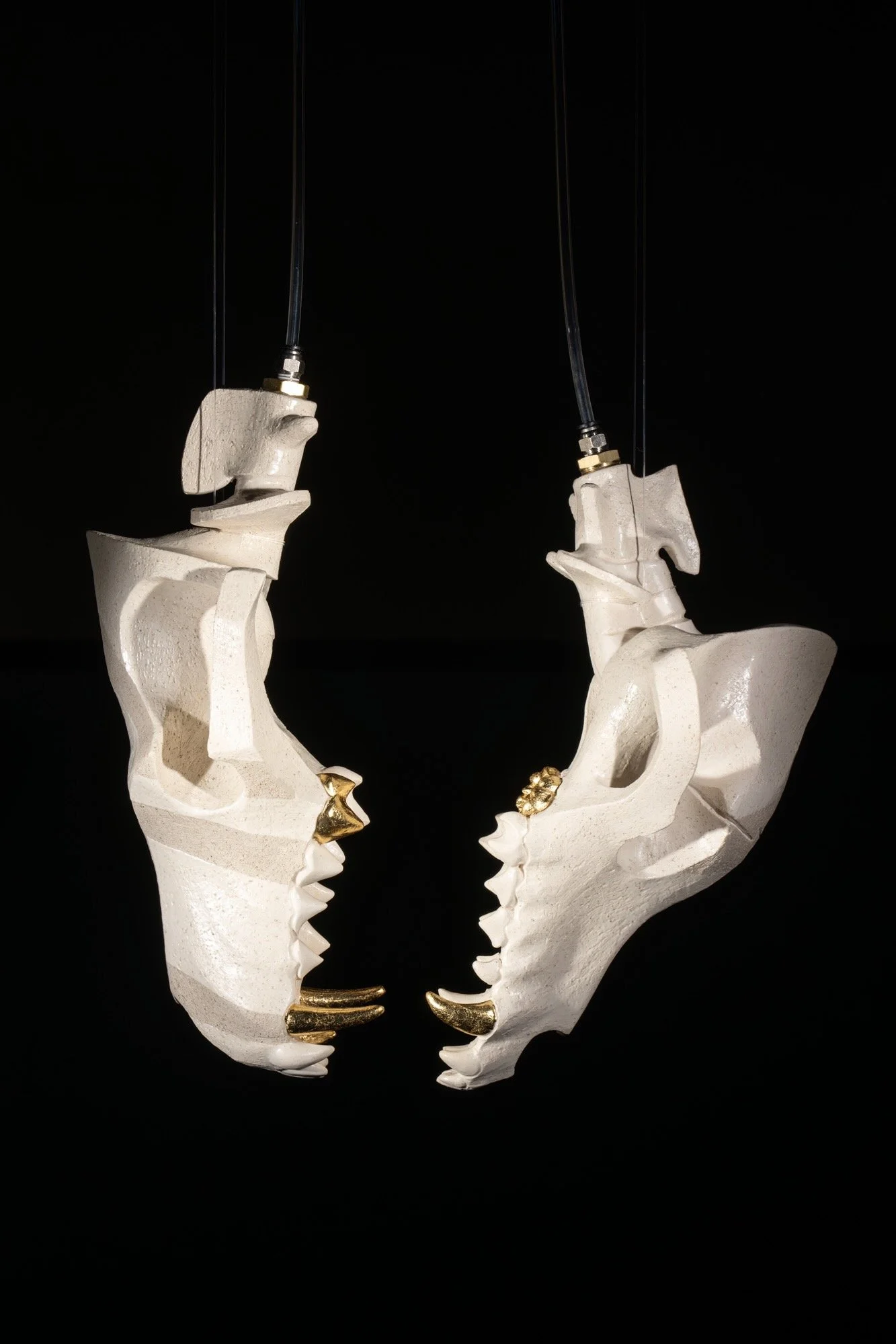 REMEMORY: 25th Biennale of Sydney + Australia + March 14 – June 14 2026