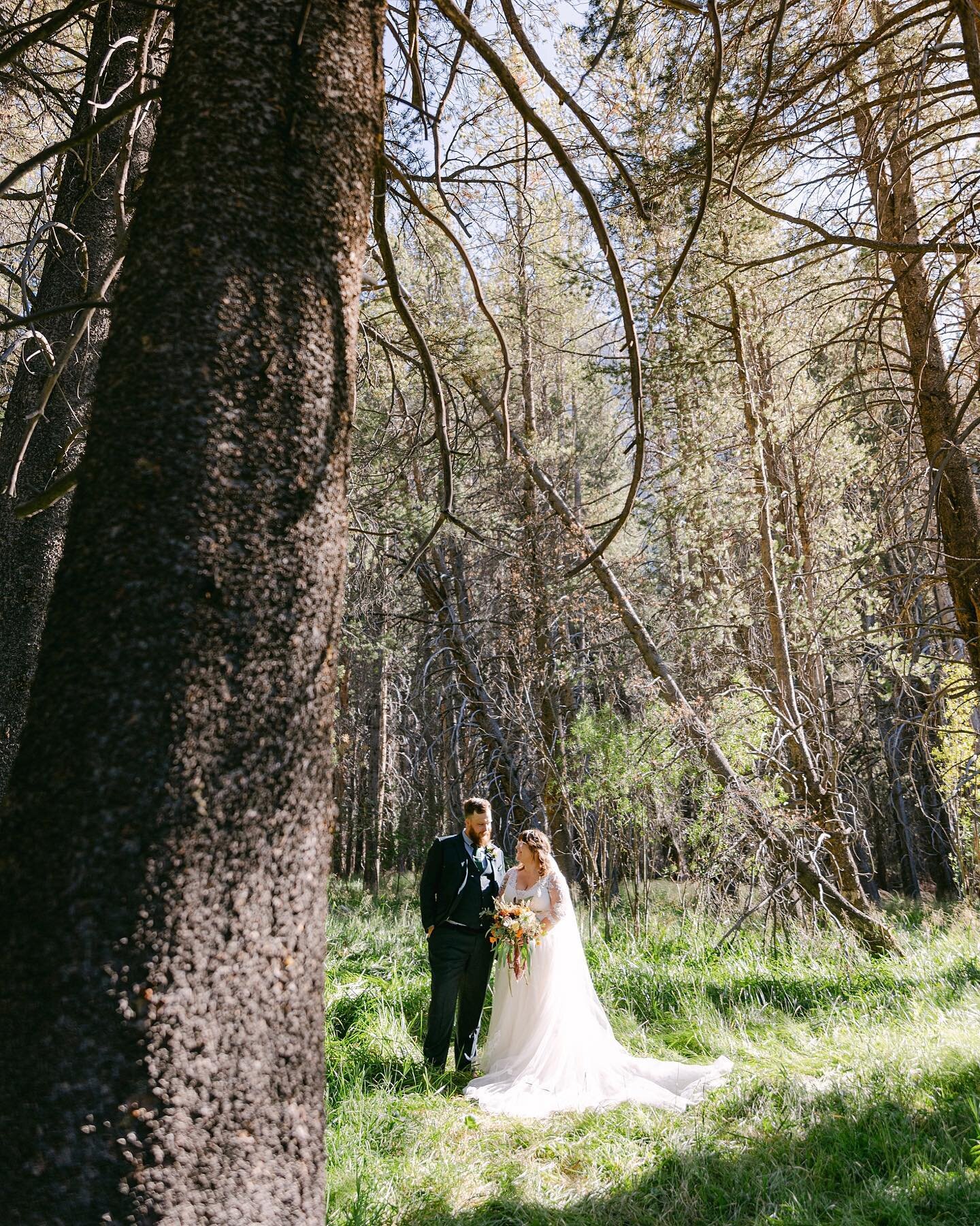 sharing this beautiful celebration of love in June Lake 🌿

This was an incredible emotional day full of so much support, community, good vibes, and amazing people. 
It was truly a gift to attend and be surrounded by the overflowing love pouring from