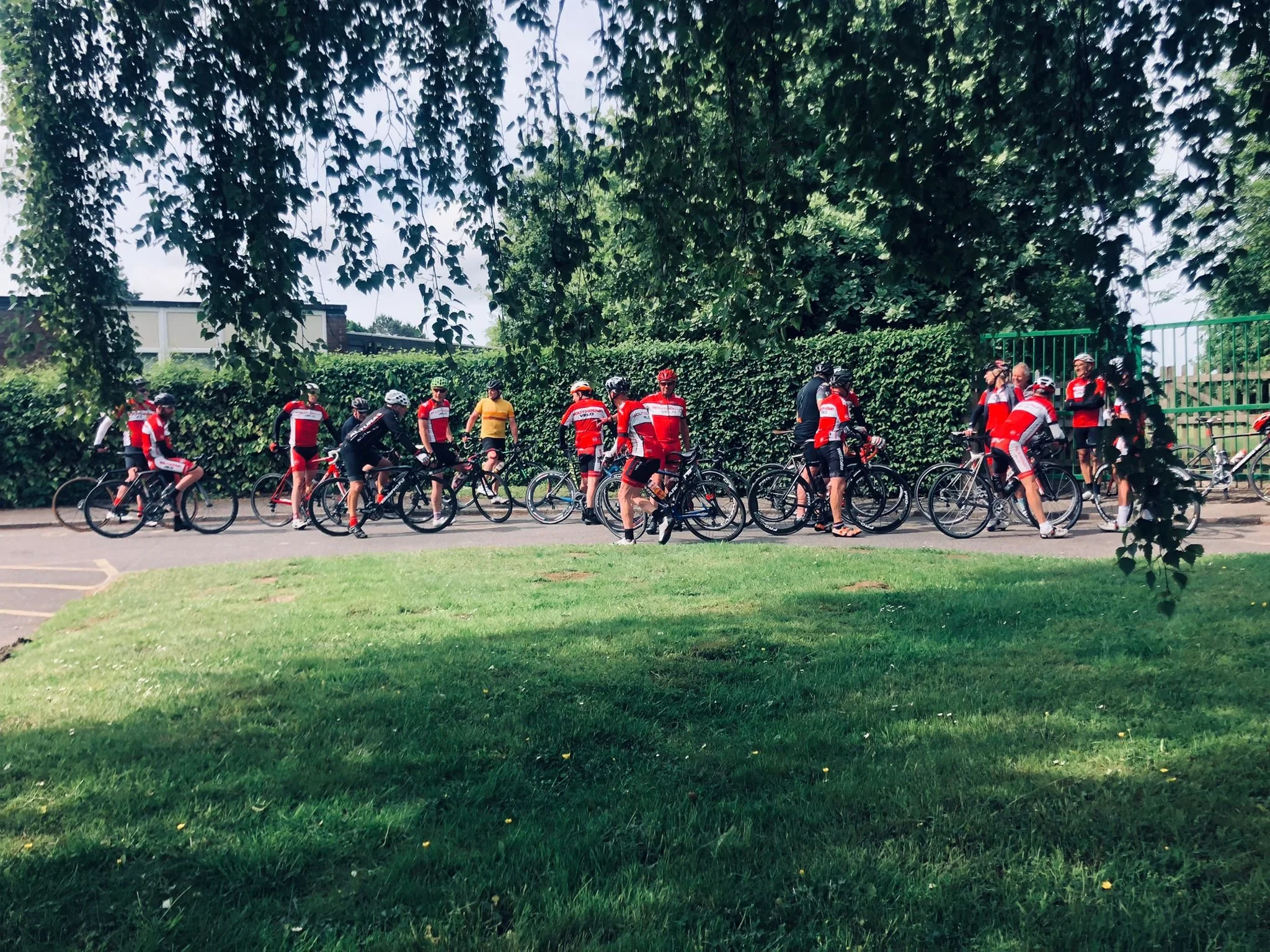 southdown velo
