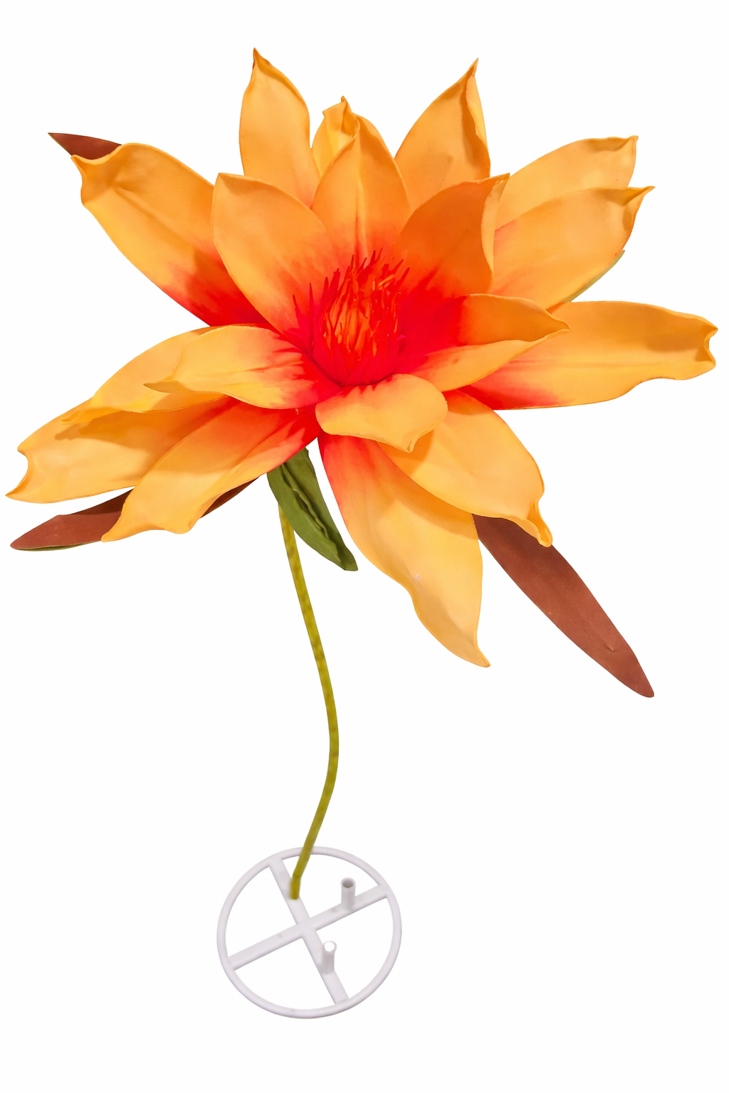 ChatGPT Image Feb 9, 2026, 10_35_24 AM.png