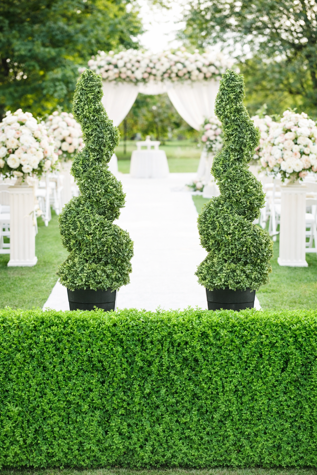 Hedge Spiral Plants and Faux Hedge Walls