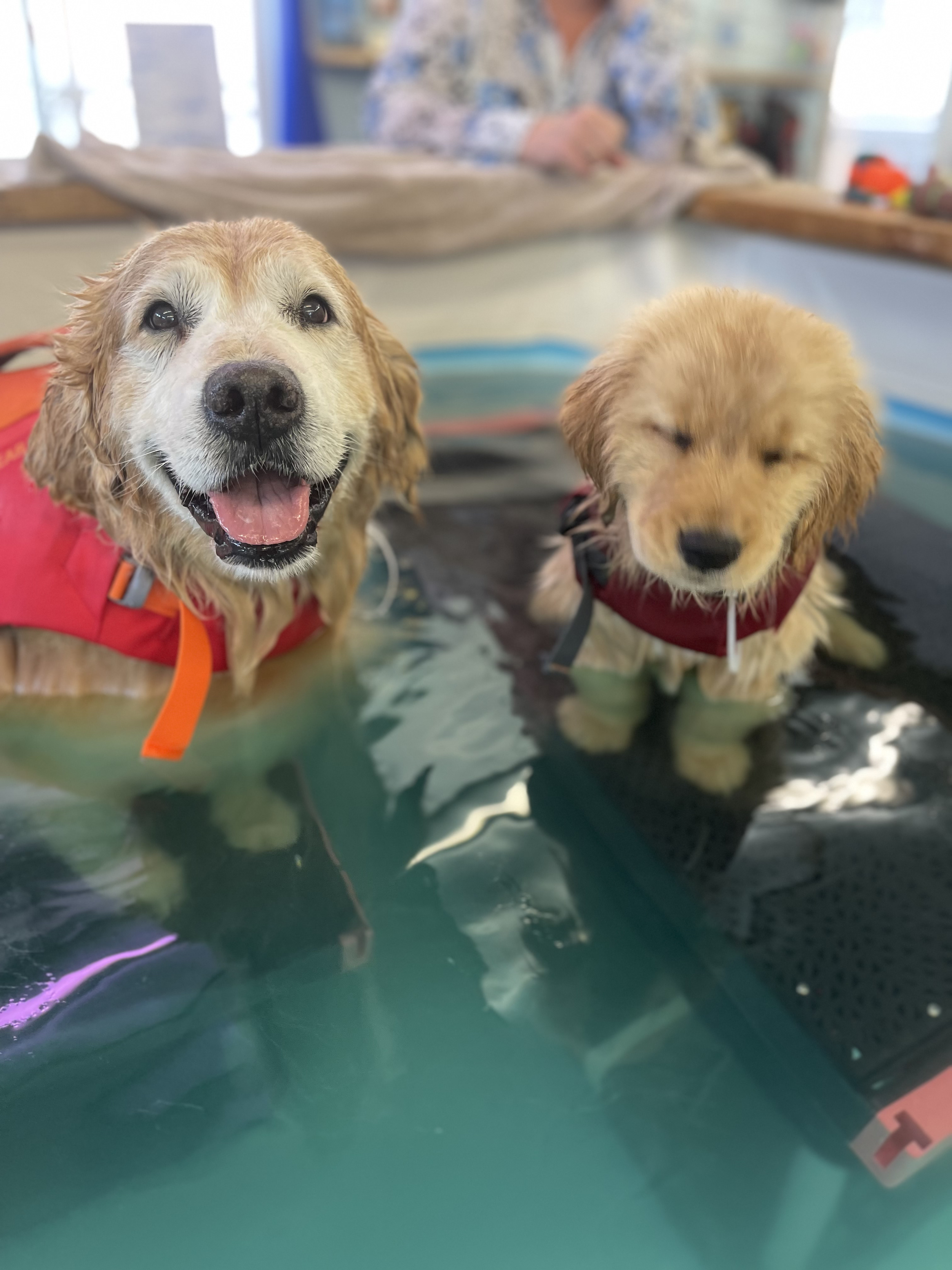Senior and Puppy at Hydrotherapy
