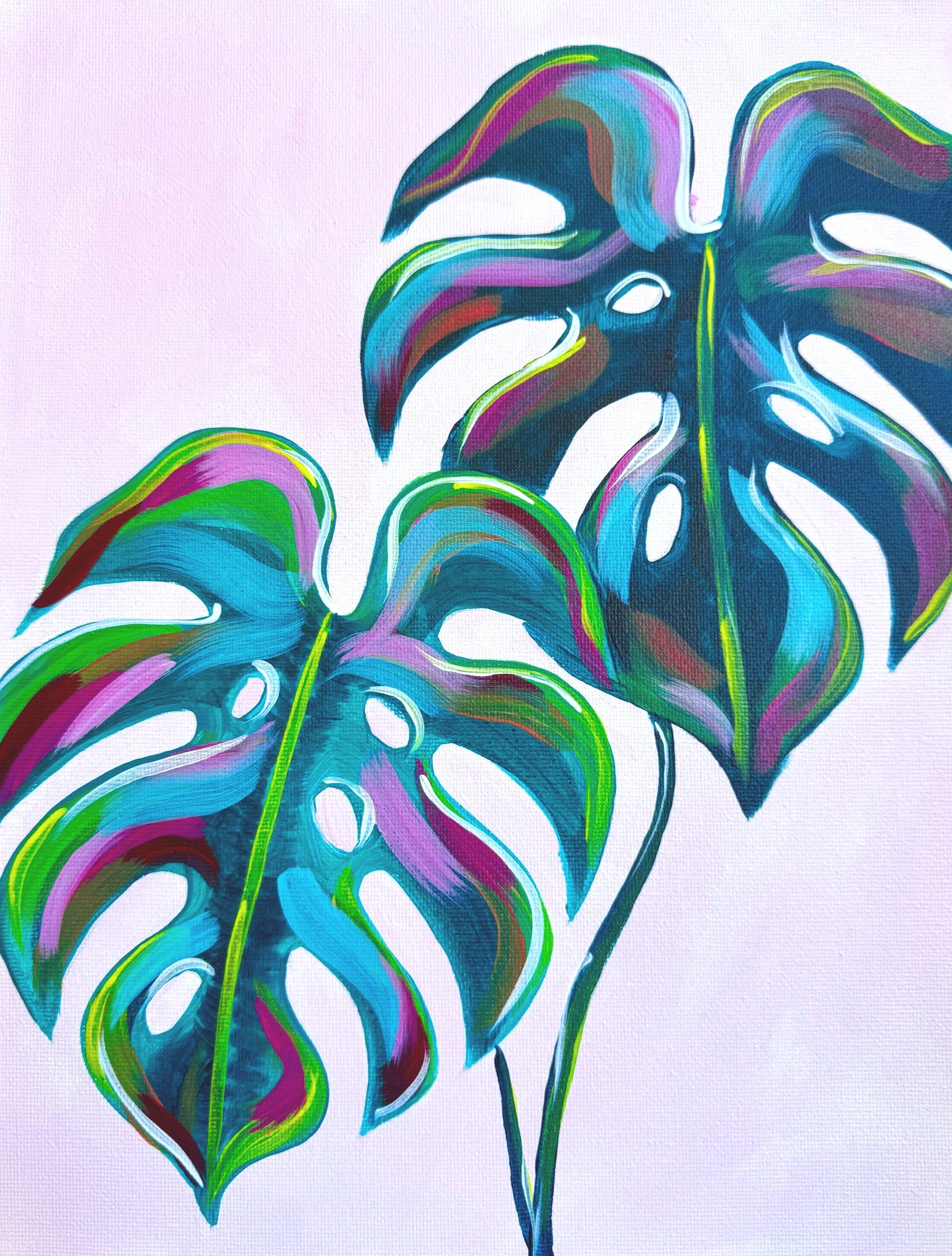 Monstera Plant