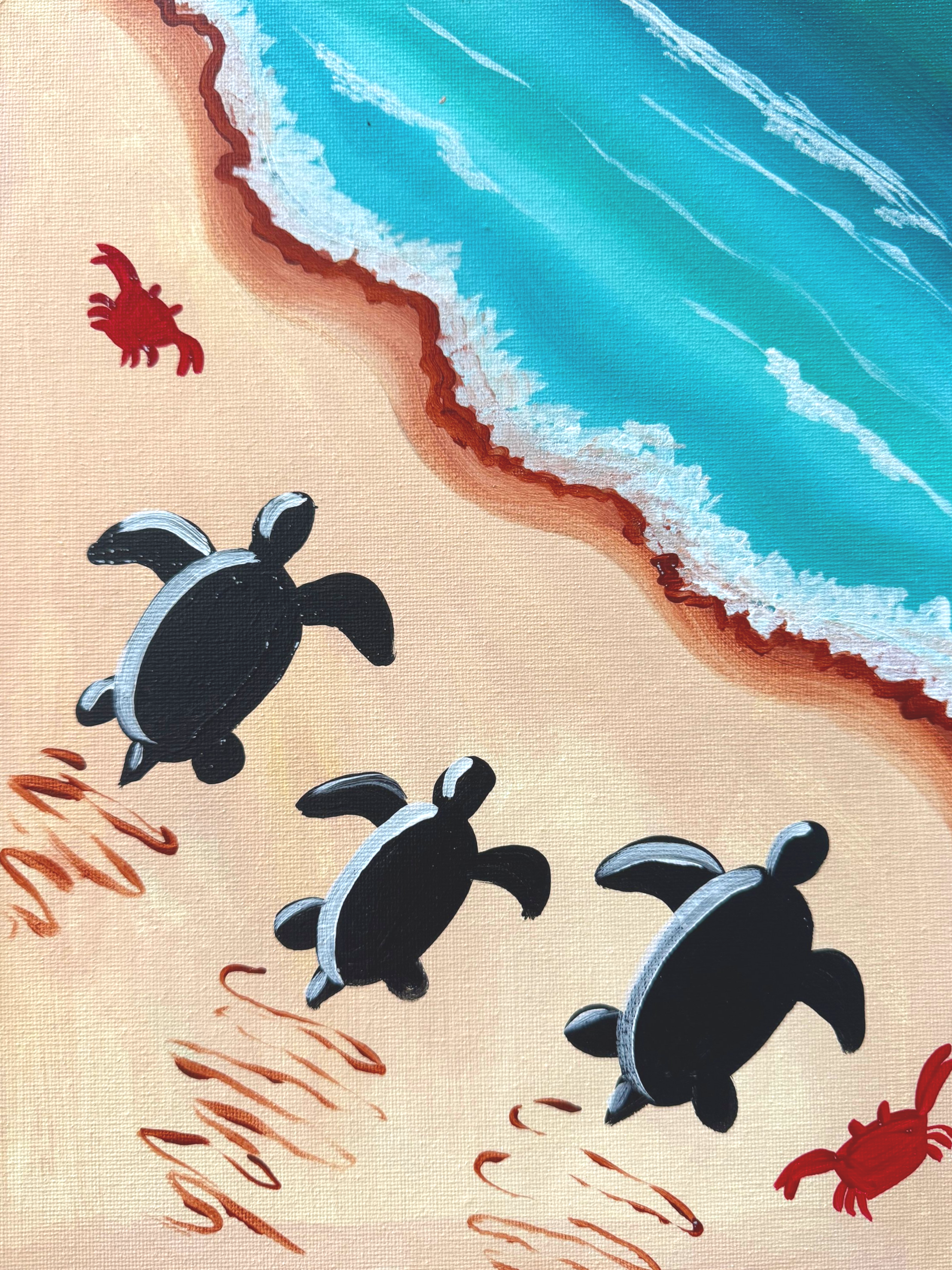 Baby Turtles